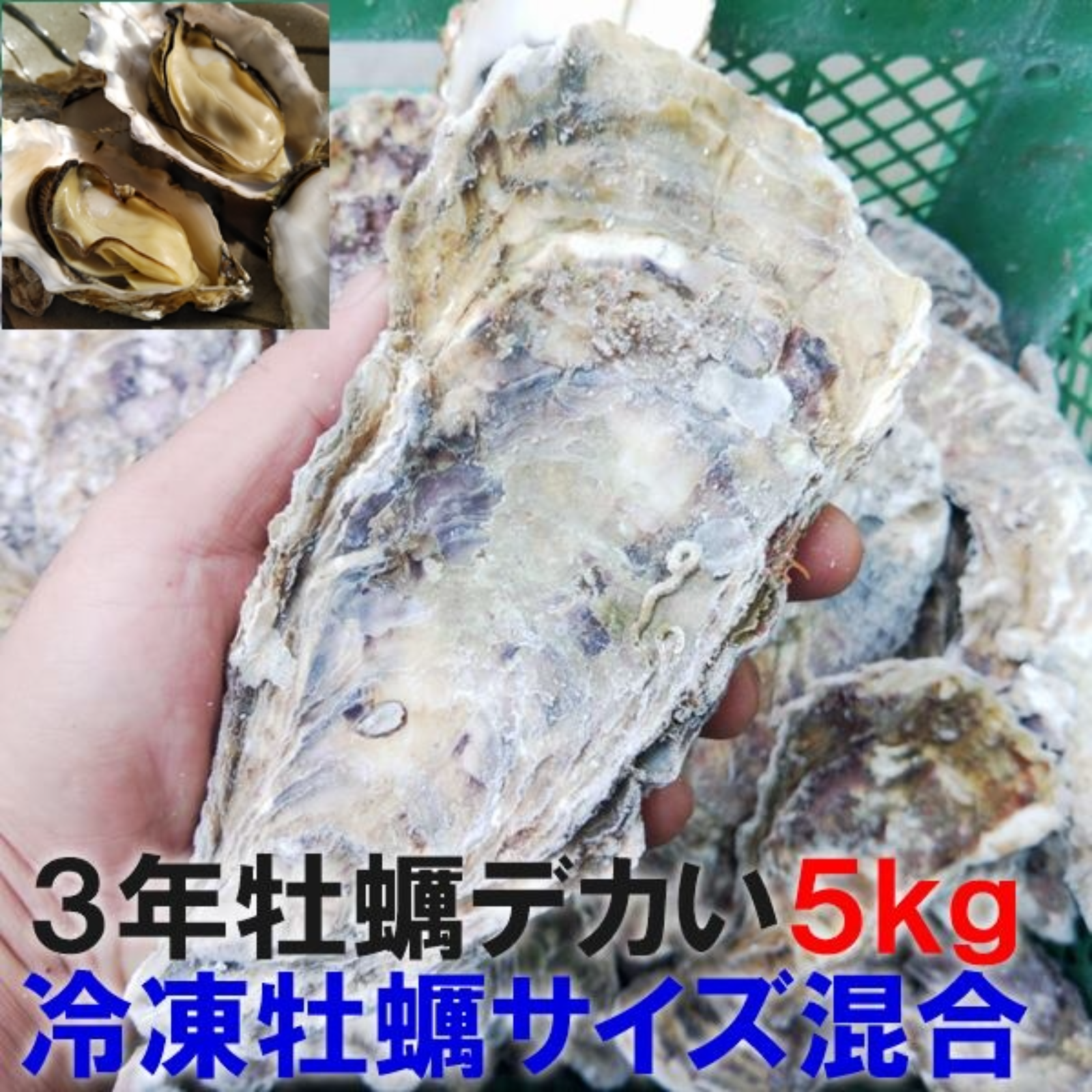 宮城ゼオライト5kg 牡蠣殻15袋 麦飯石5kg 溶岩石プレート大2枚 宮城