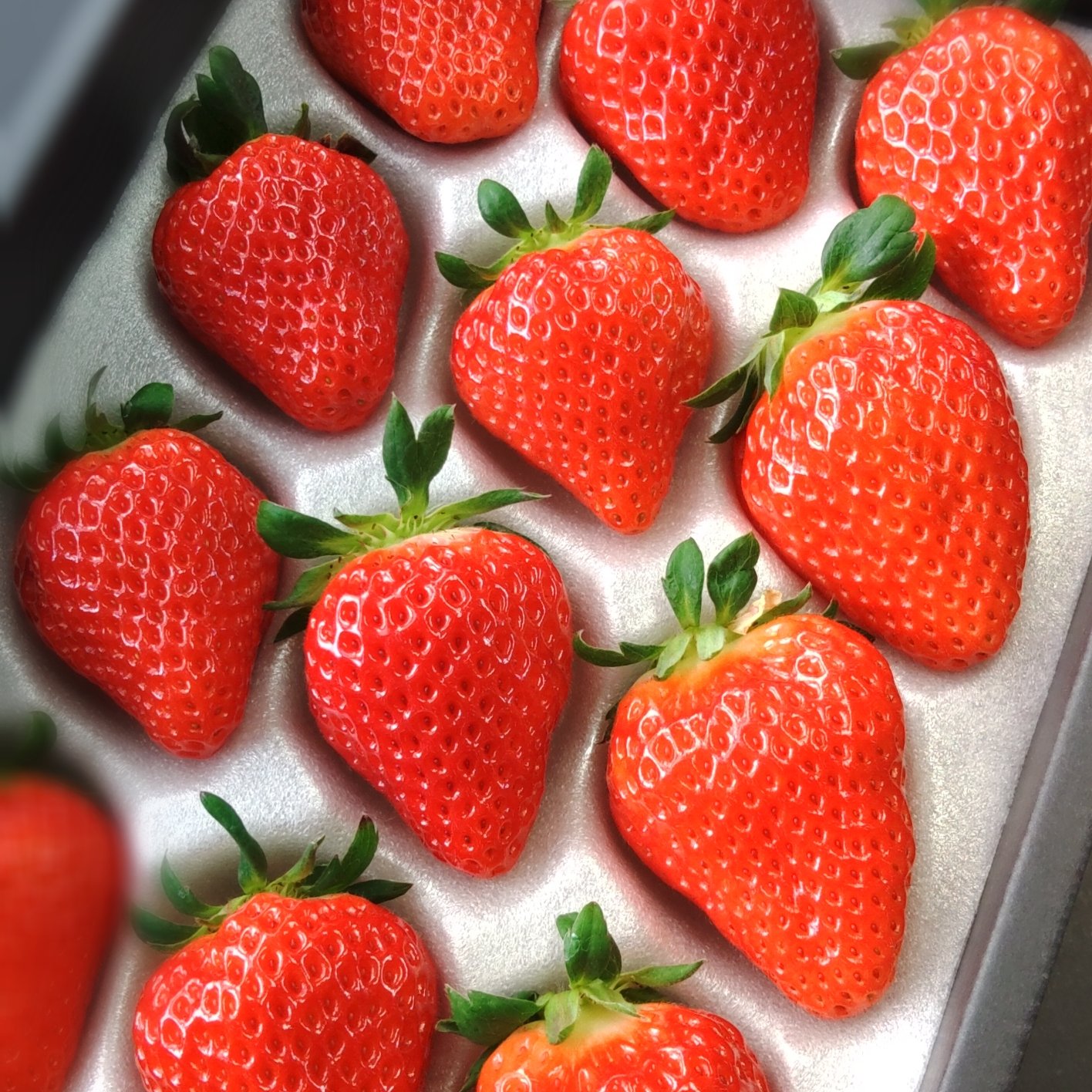 mikaberryのいちごBOX | 果物/いちご 産直アウル 農家から直接野菜など