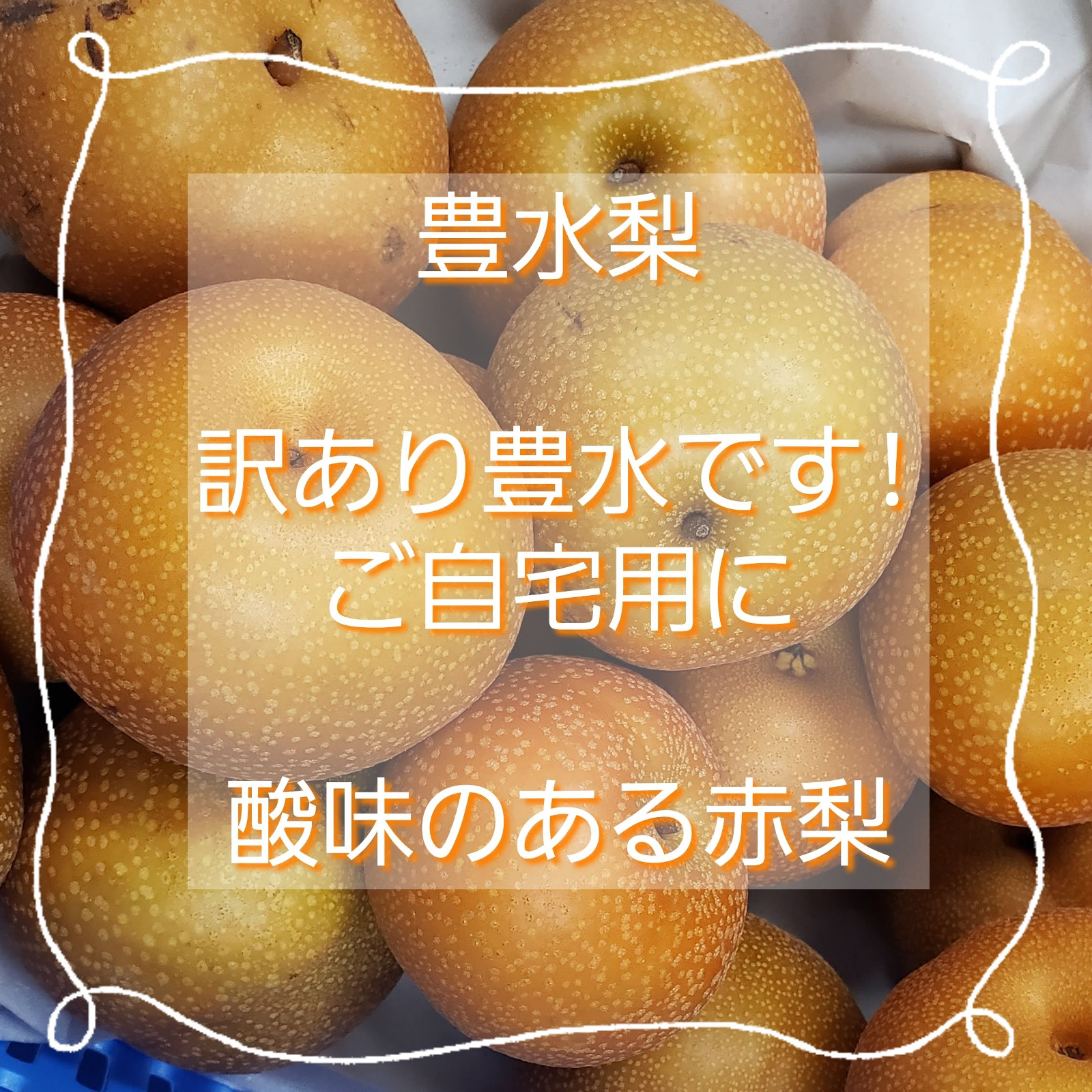 梨！豊水梨！訳あり梨！5kg（箱込み） ｜ 果物/梨 産直アウル 農家