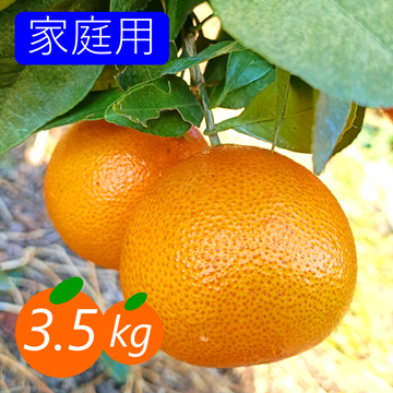 新品種》【家庭用】プリンセス 3.5kg 最強コラボの新品種(まどんな×甘