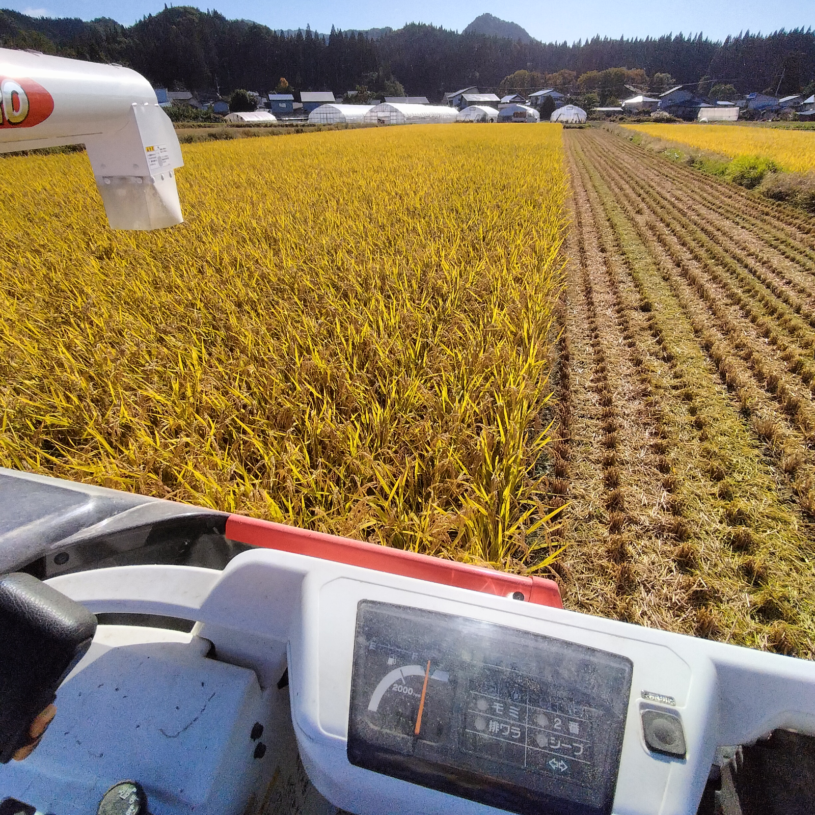 秋田県比内産】あきたこまち 玄米（5kg） ｜ 米・穀物/米/精米 産直