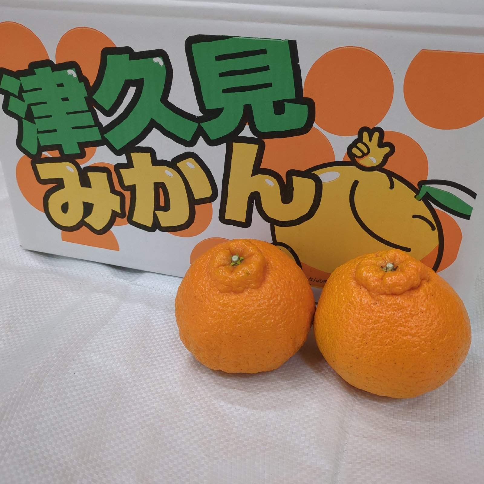 大分県津久見産の不知火 24個入り ｜ 果物/オレンジ・その他みかん