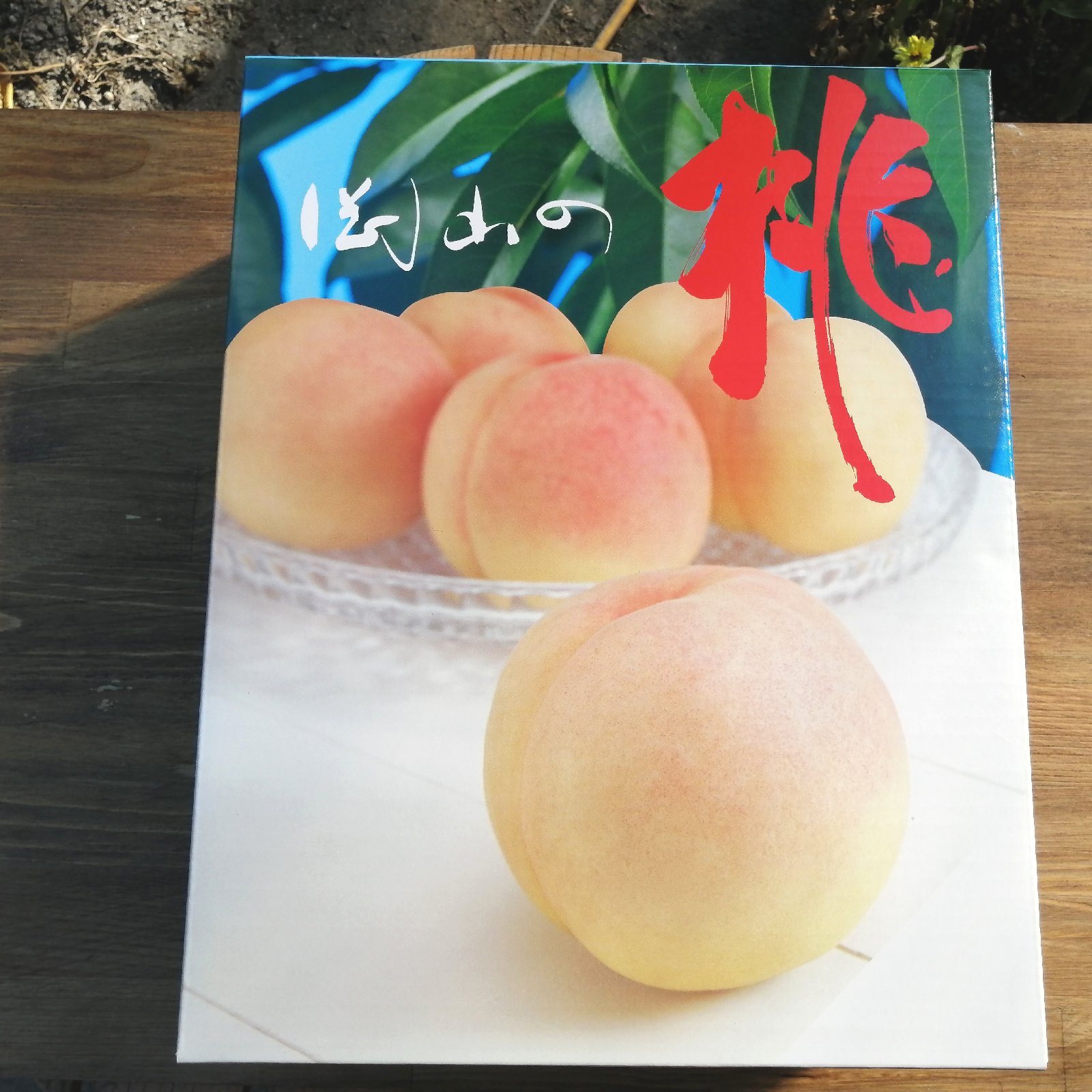 岡山産 進物用白桃（おかやま夢白桃）5～7個入り ｜ 果物/もも 産直