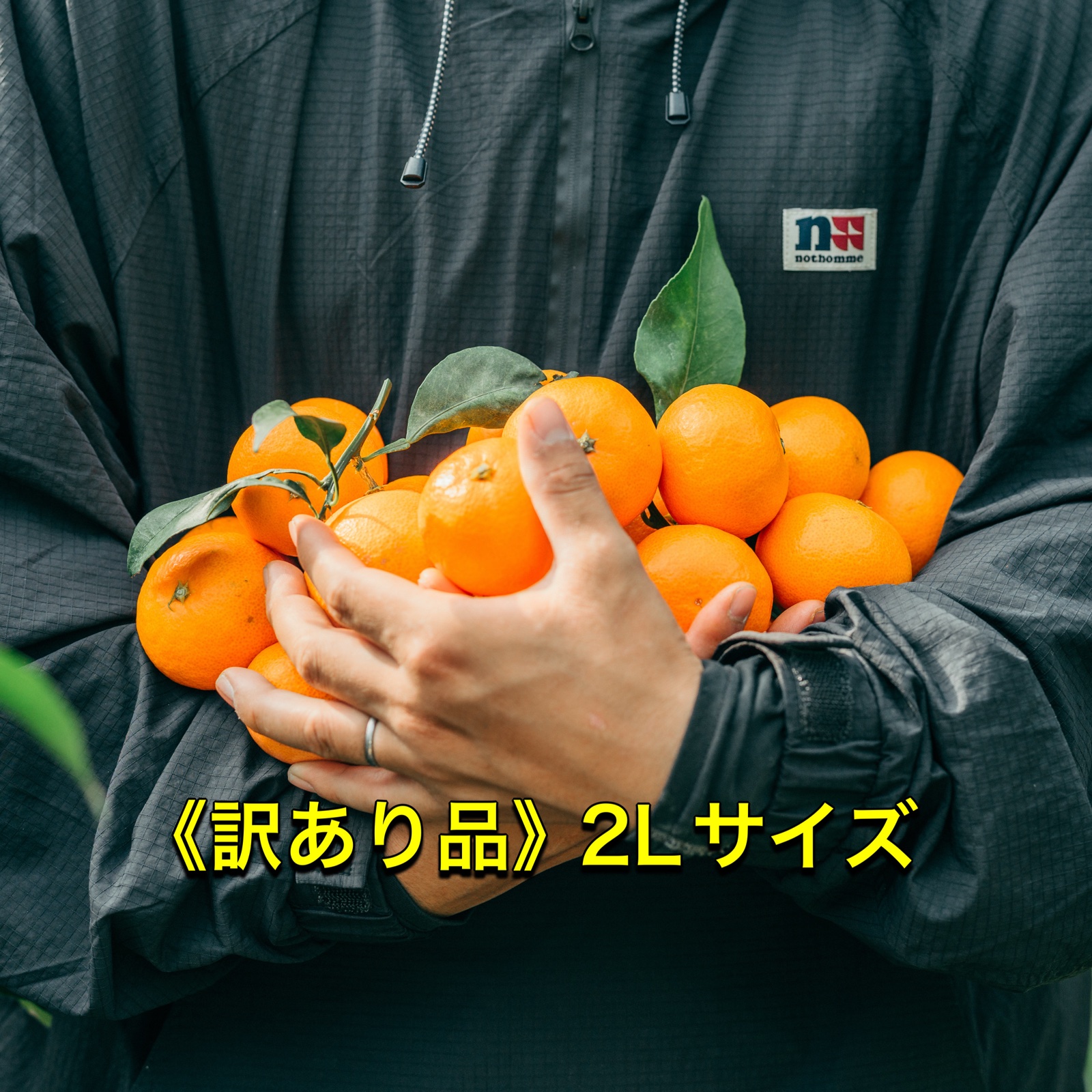 maaさんが ニノミヤファーム の 《お得な訳あり品》2Lサイズ 段畑