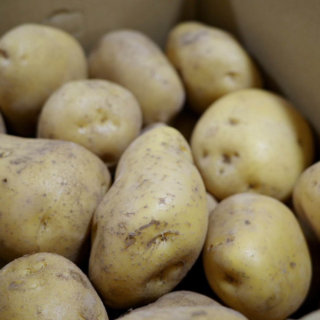 じゃがいも「ながさき黄金」 ｜ 野菜/じゃがいも 産直アウル 農家