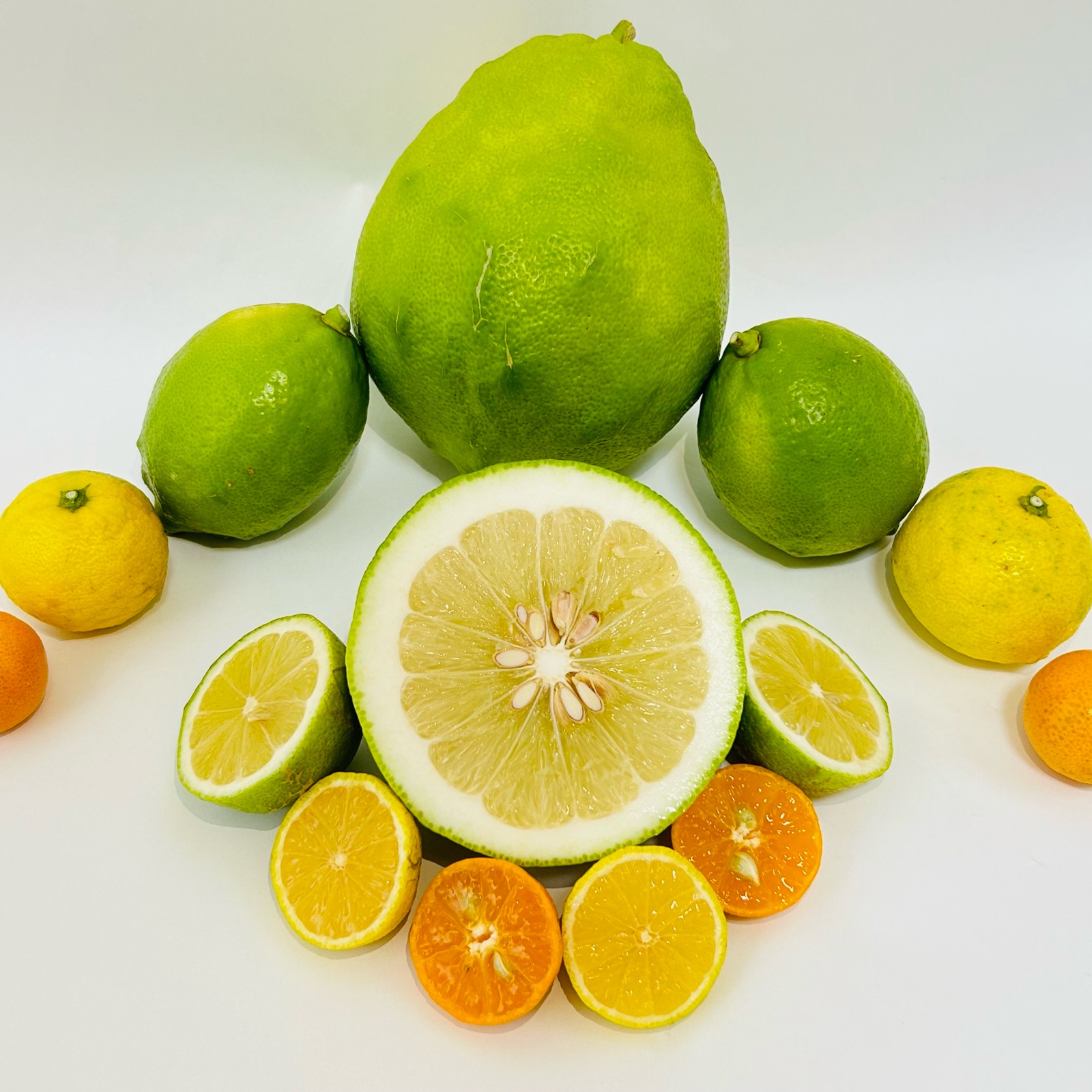 ビタミンたっぷりいろいろな柑橘！瀬戸内産食べ比べセット🍋 ｜ 果物