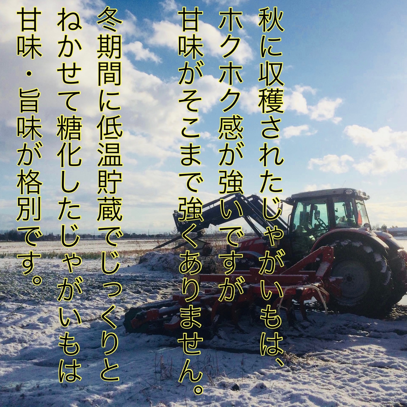 ○訳あり品 じゃがいも キタアカリ ○10キロ ○北海道 ジャガイモ