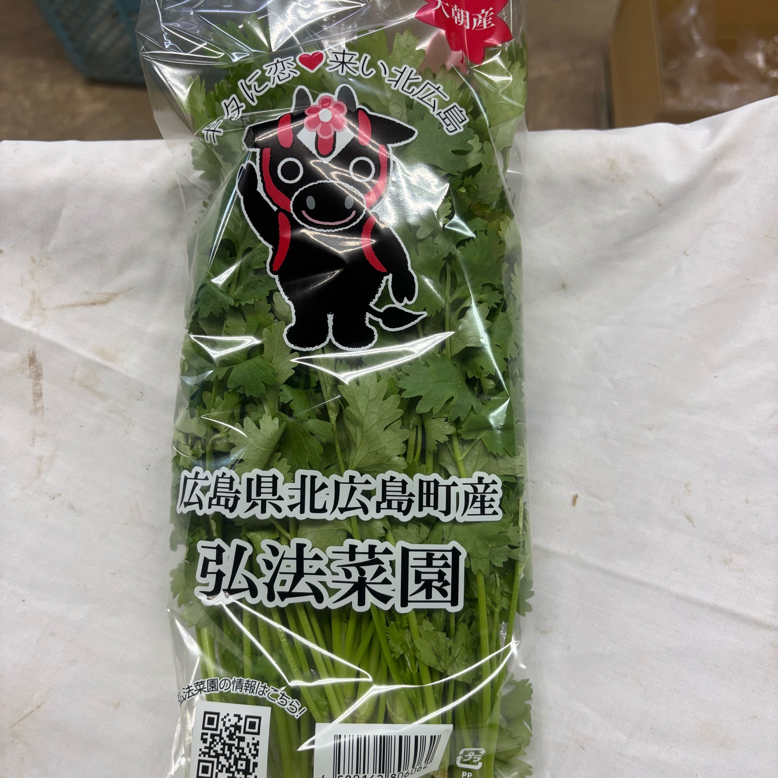 新鮮なパクチー 14kg 選ばれし若穫りパクチー 500g ｜ 野菜/ハーブ 産直アウル 農家・漁師