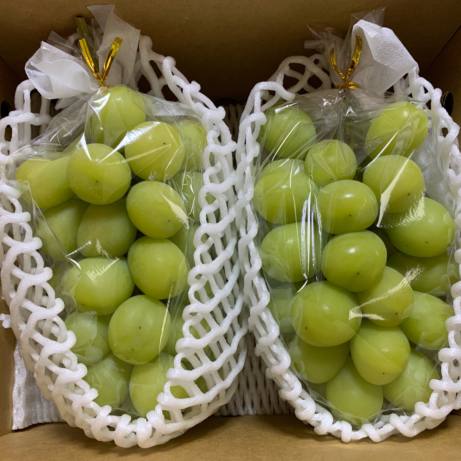 10 売り切りセール！クール便込み○贈答用シャインマスカット　５ｋｇ以上入ります 長野県産シャインマスカットひとくちゼリー（10個入） | 新鮮な