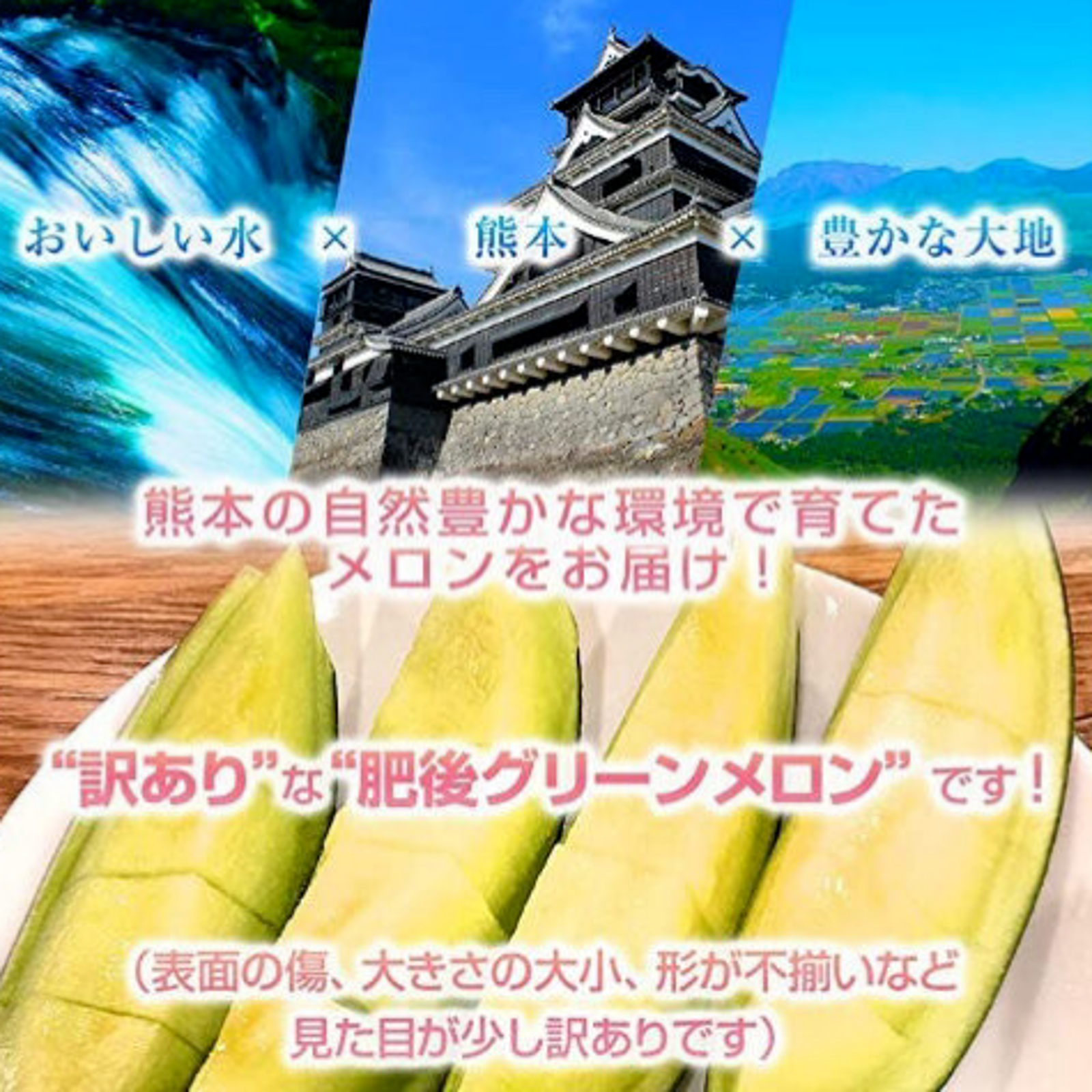 選果落ち 訳あり商品 熊本県産 肥後グリーン メロン 青肉 2玉 2kg以上