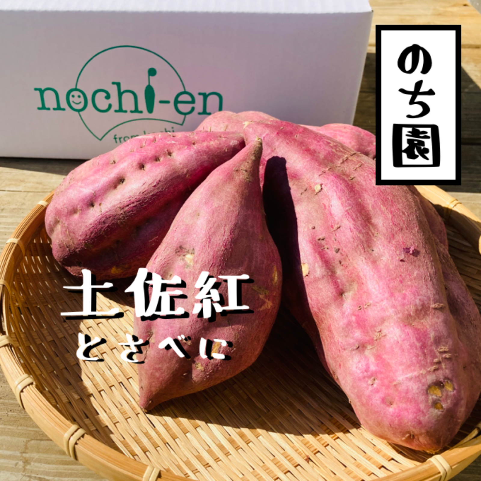 甘薯】土佐紅［9kg］さつまいも サツマイモ 薩摩芋 土佐べに ｜ 野菜