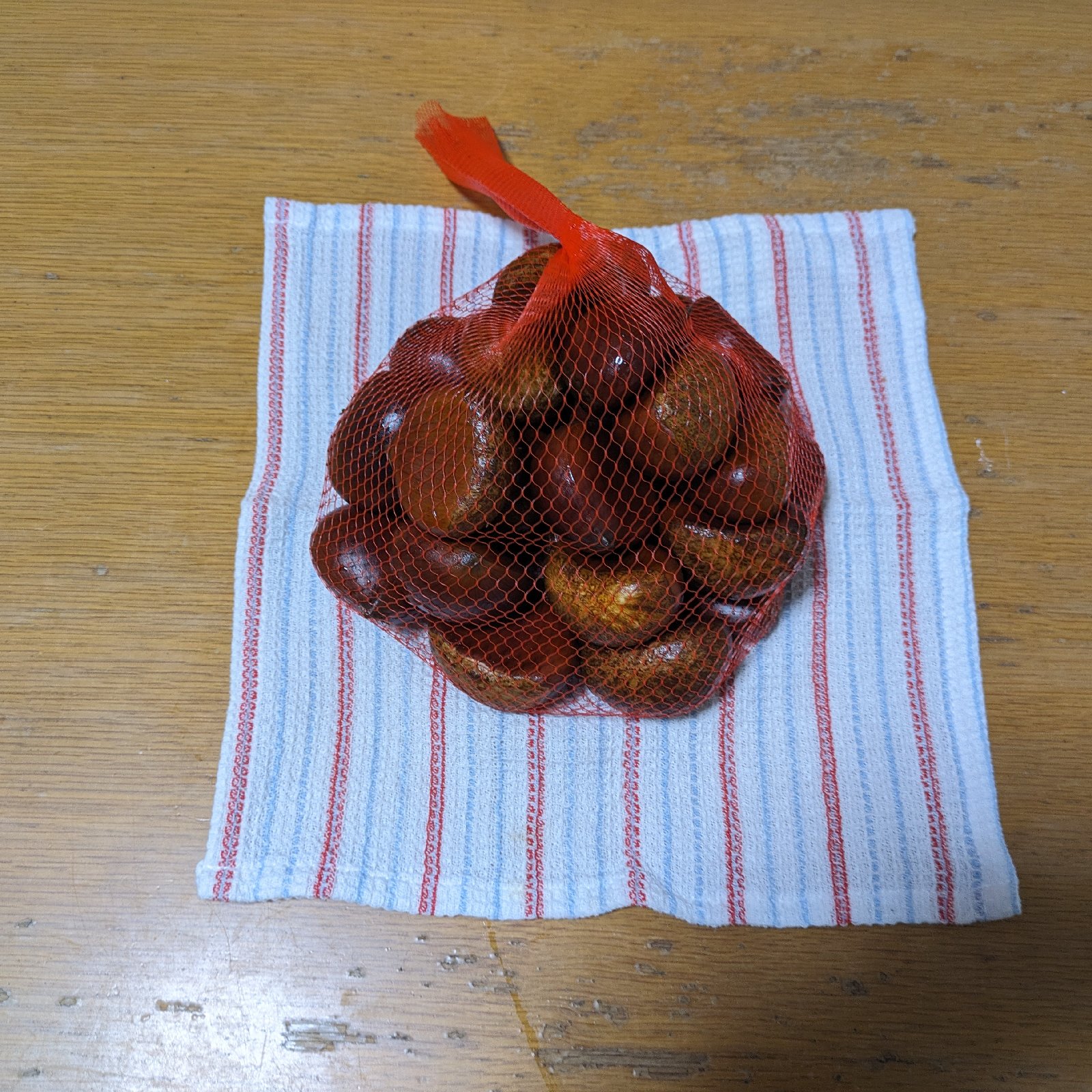 栗 信州産 小布施栗1kg 2〜3Lサイズ ｜ 果物/栗 産直アウル 農家・漁師