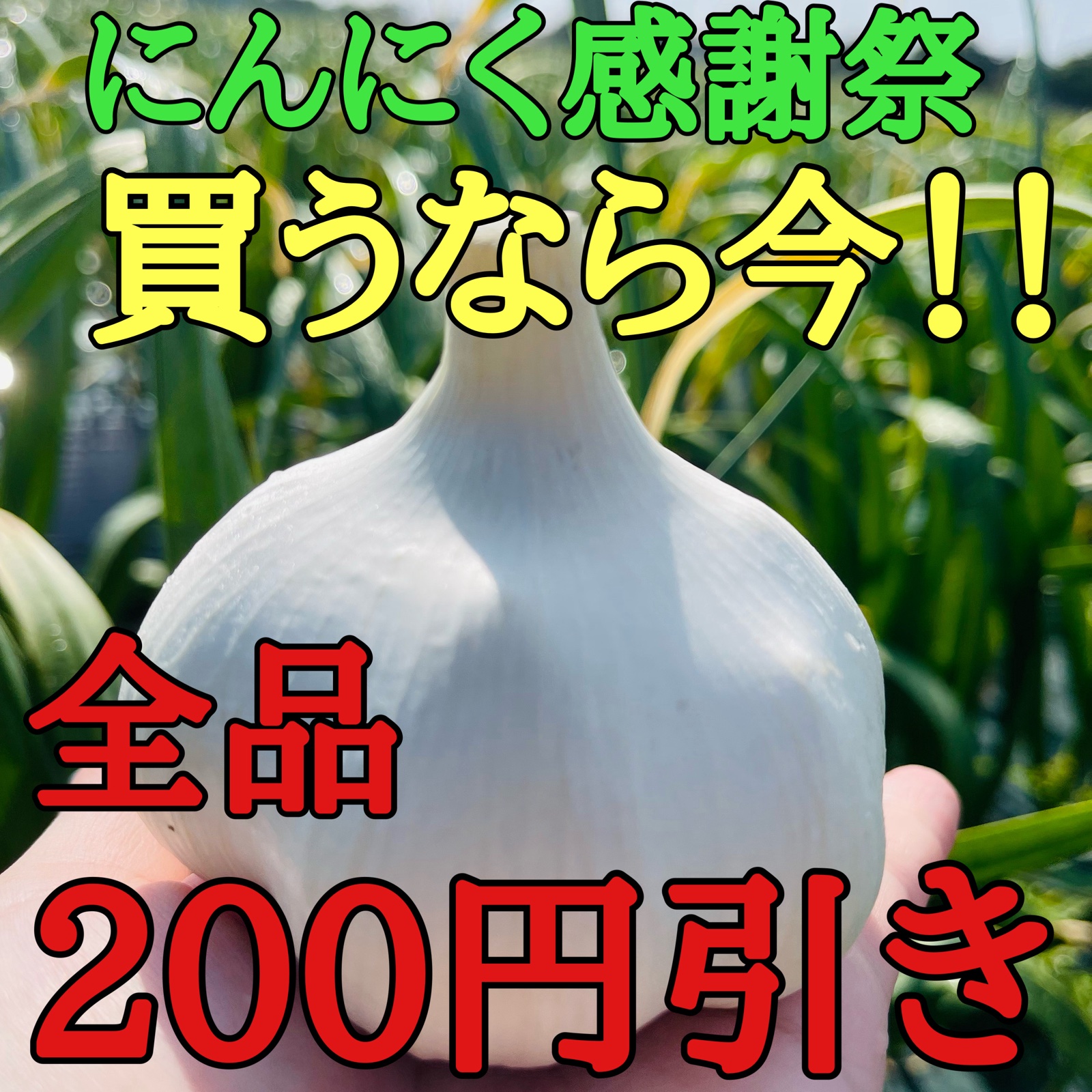 青森県にんにく10Kg S M 青森県にんにく10Kg SM 【公式通販】