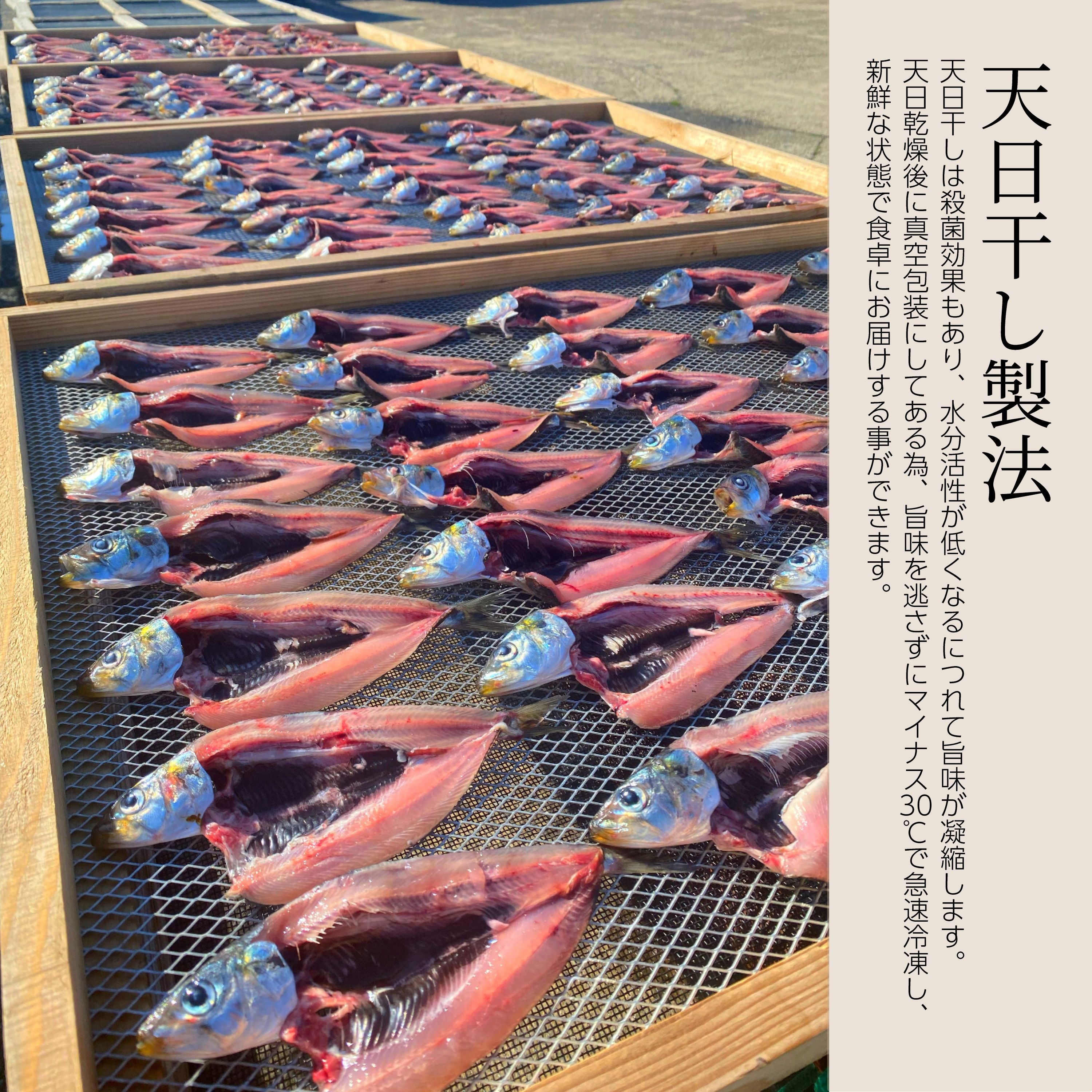 脂のり◎真イワシの開き4P(8尾)天日干し | 魚介類/魚介の加工品 産直