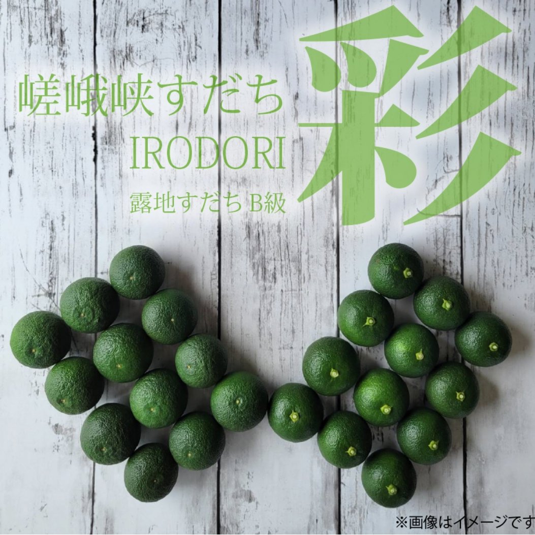 徳島県神山町産すだち　混合サイズ　　20キロ　　キズ多く・色むらあり　② 徳島県神山町産すだち 混合サイズ 20キロ キズ多く・色むらあり ②