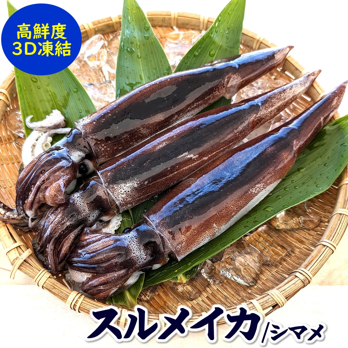 スルメ・イカ様