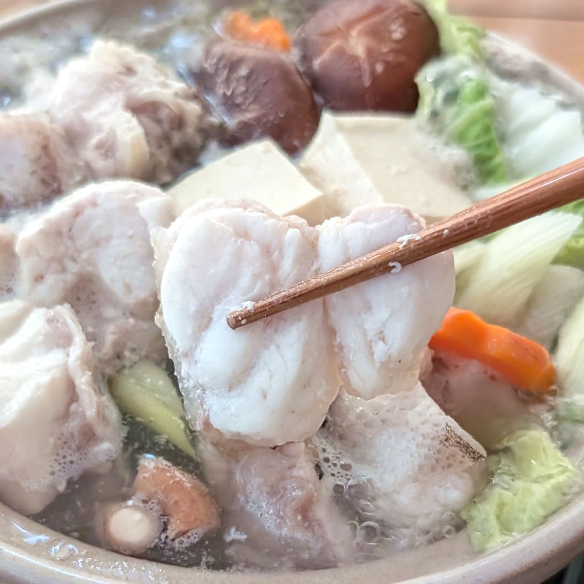 幻の高級魚 天然本クエ鍋セット（冷凍）800g（約4人前）大きなクエ