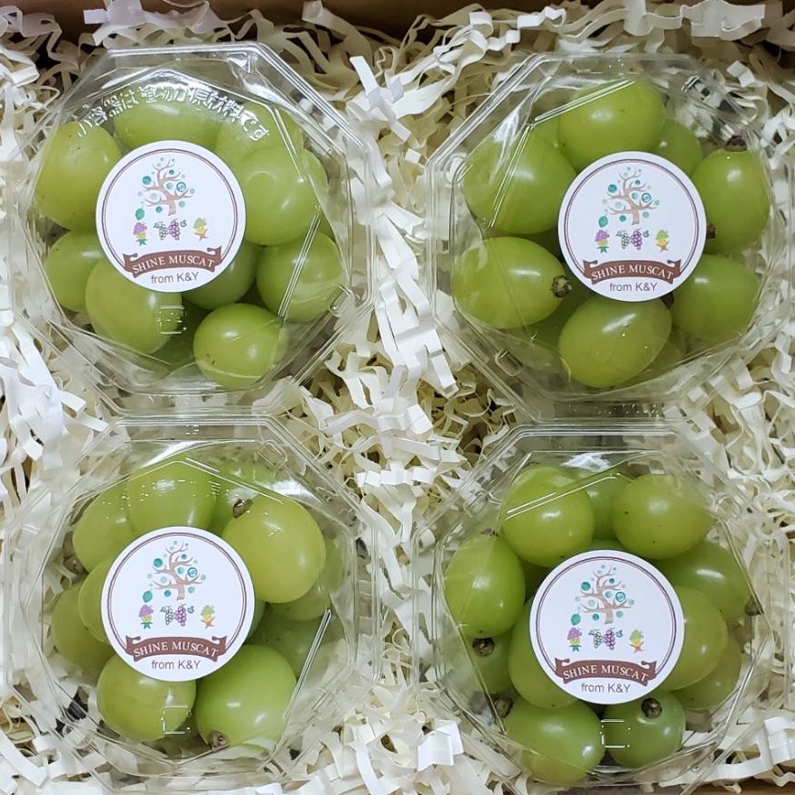 シャインマスカット 4房（約2kg） 百貨店品質（贈答用