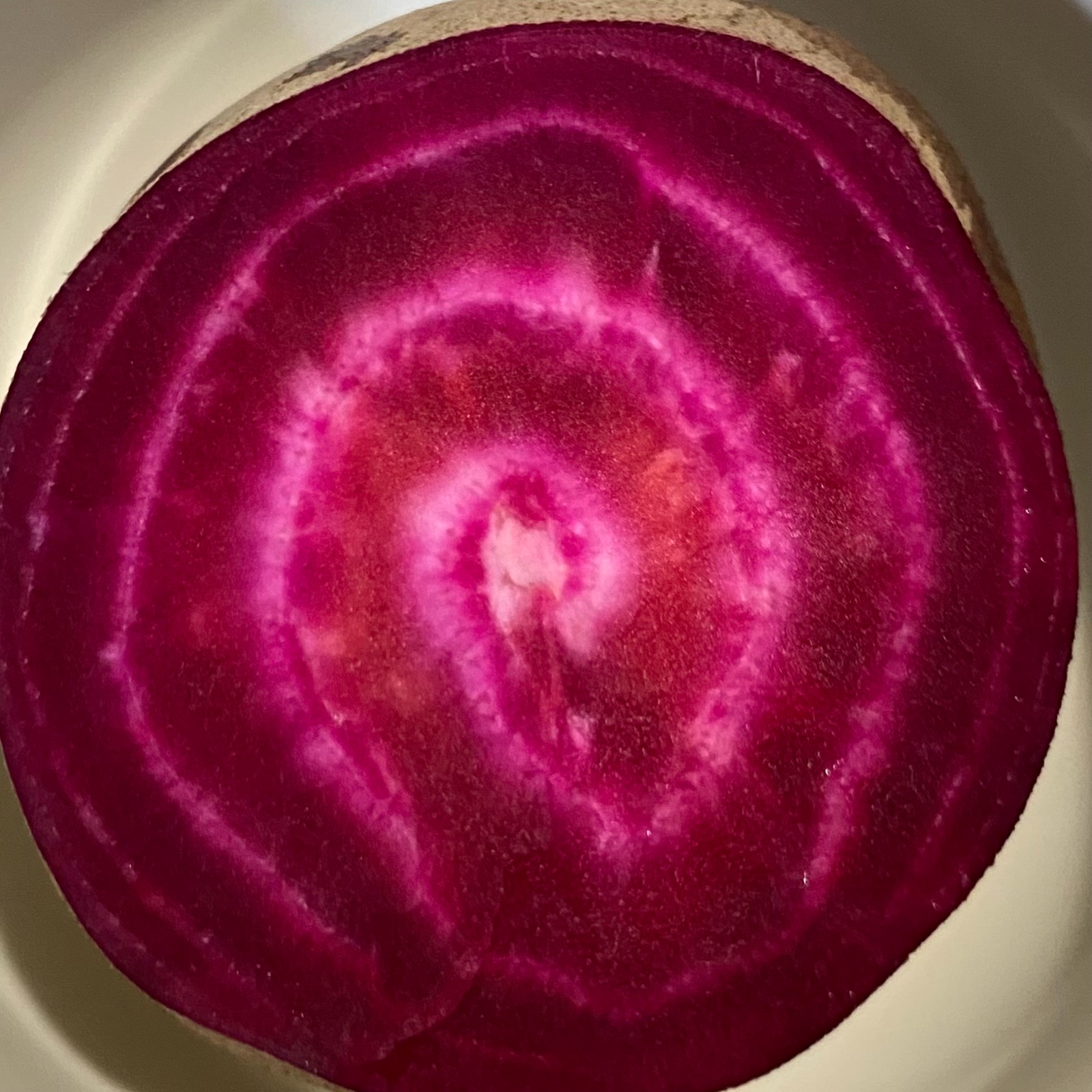 2024年北海道産 ビーツ ｜ 野菜/その他野菜 産直アウル 農家・漁師など 