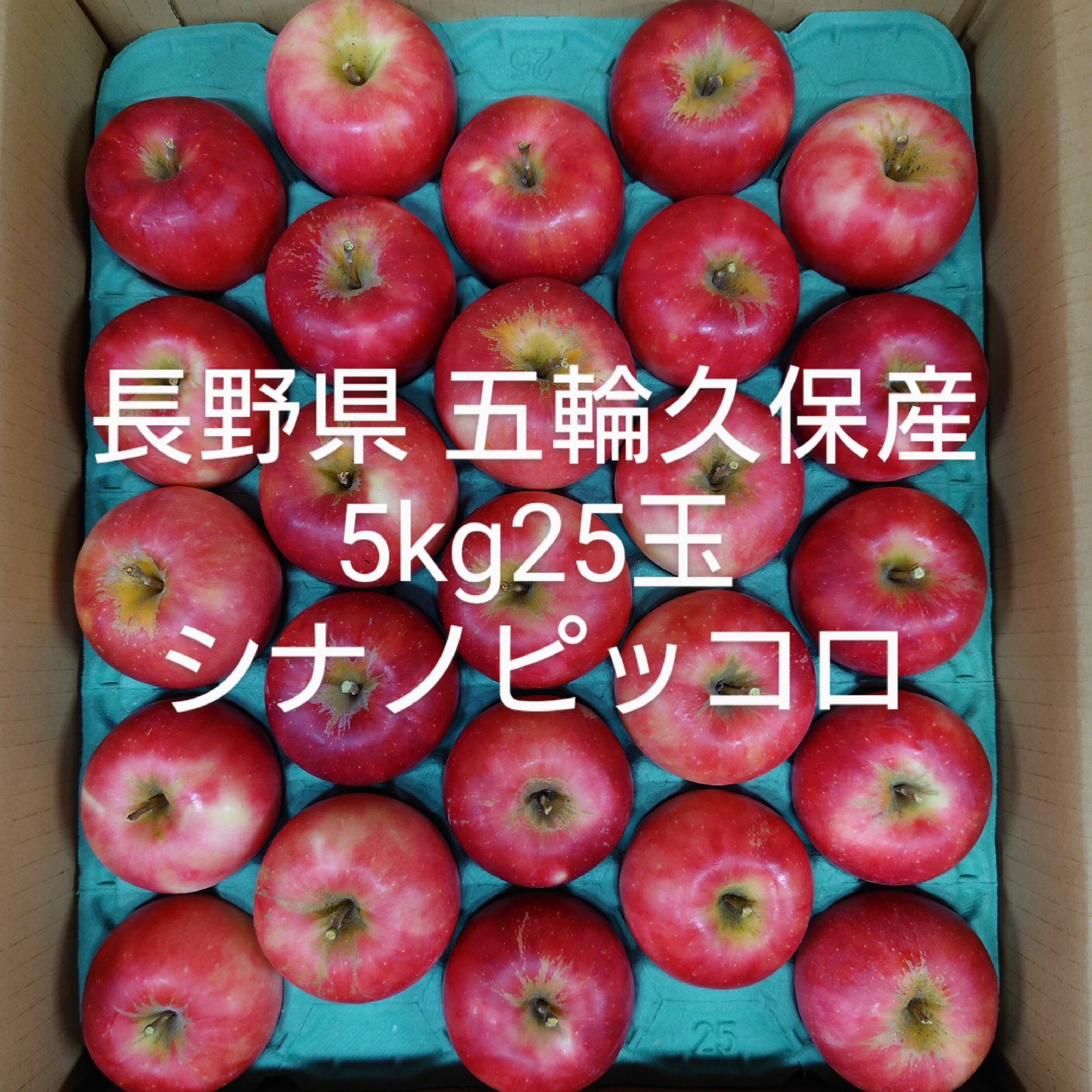 長野県 五輪久保産 シナノピッコロ 5kg25玉 | 果物/りんご 産直アウル