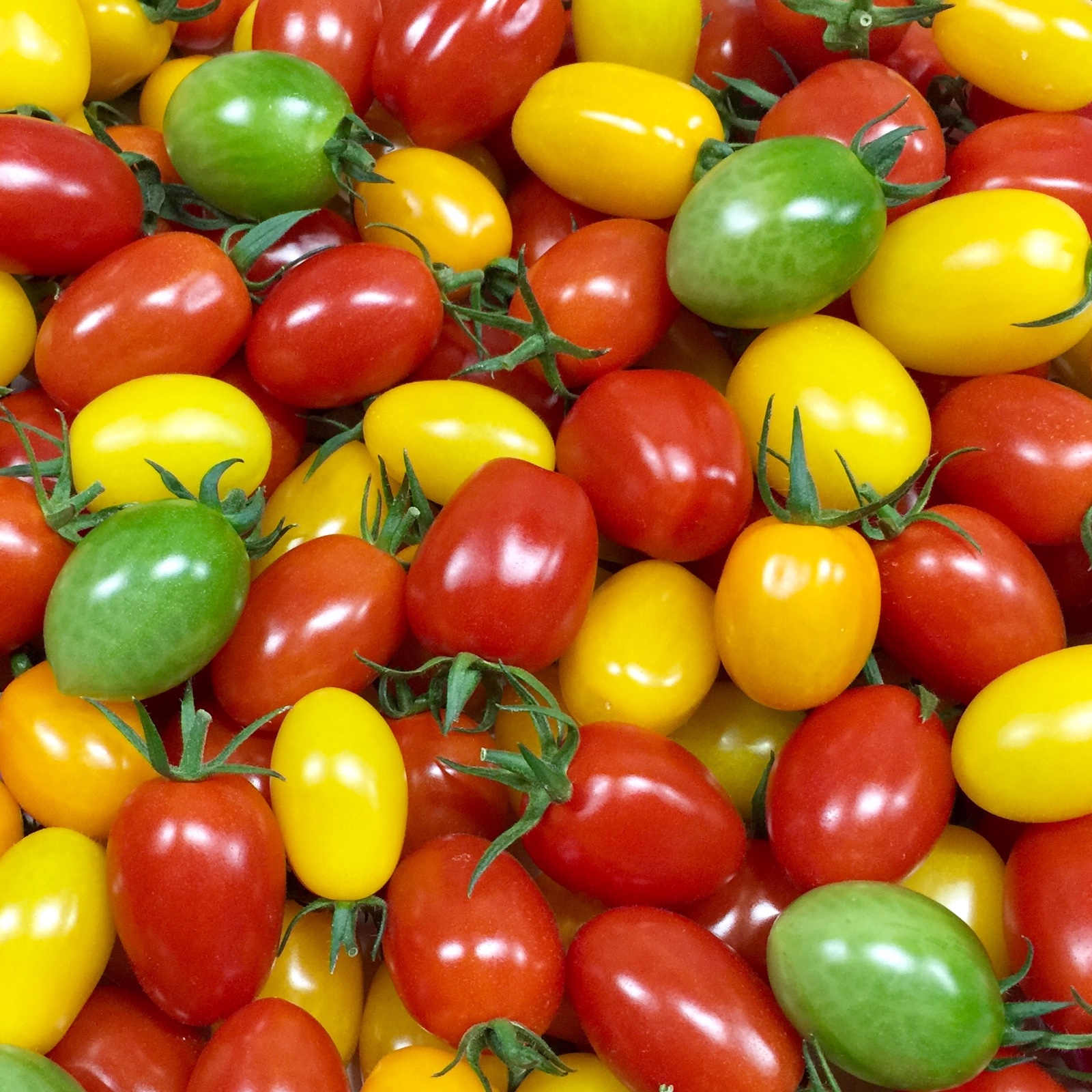 サザキ農園の『プラム型ミニトマト』ミックスセット3kg | 野菜/トマト