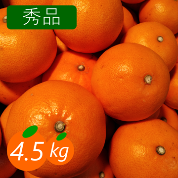 秀品】せとか 4.5kg トロ～リ食感 柑橘の大トロ 高級柑橘 愛媛みかん