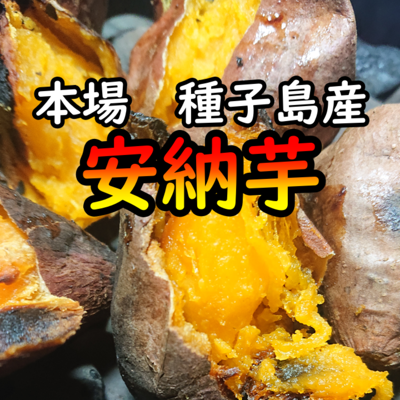 本場種子島産】ねっとり！完熟！安納芋紅Sサイズ 20キロ【K-GAP取得 ...