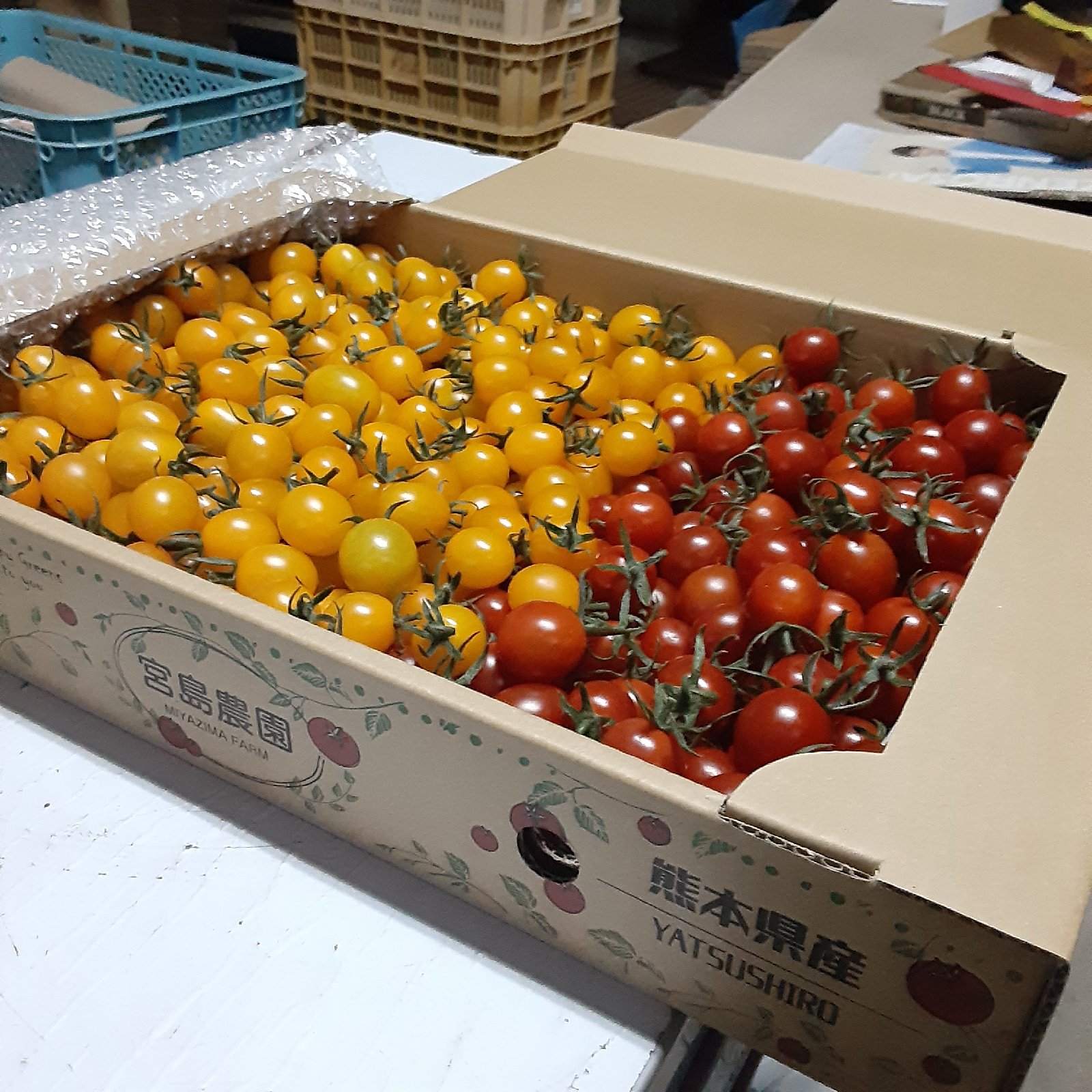 ミニトマト赤、黄色ミックスミニトマトミックス3㎏×3ケース ｜ 野菜
