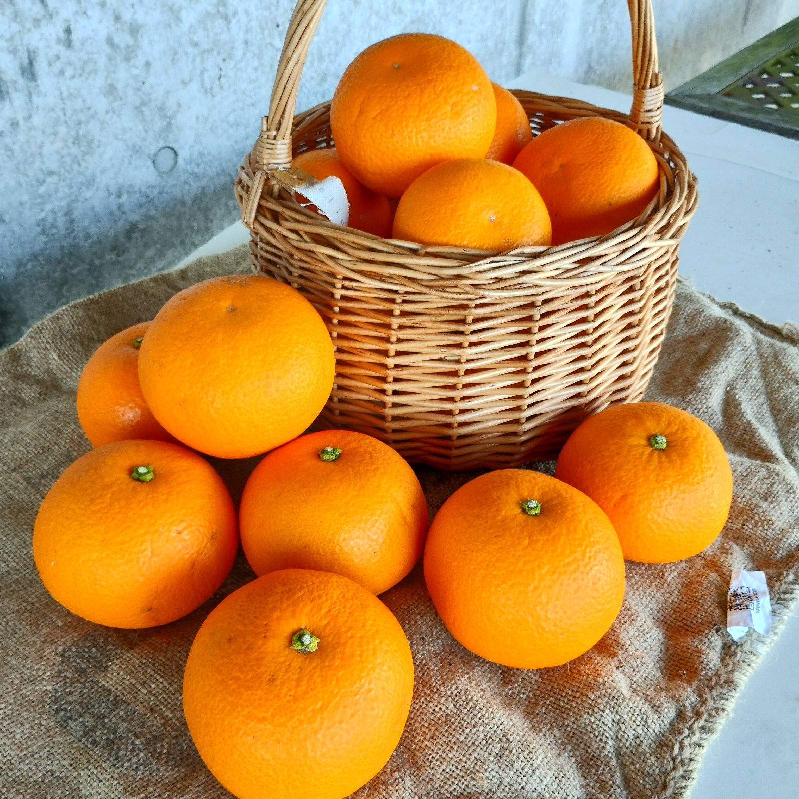 【農家直送】柚子15kg（箱込み） ◎ご家庭用品 食品 【農家直送】柚子15kg（箱込み） ◎ご家庭用品