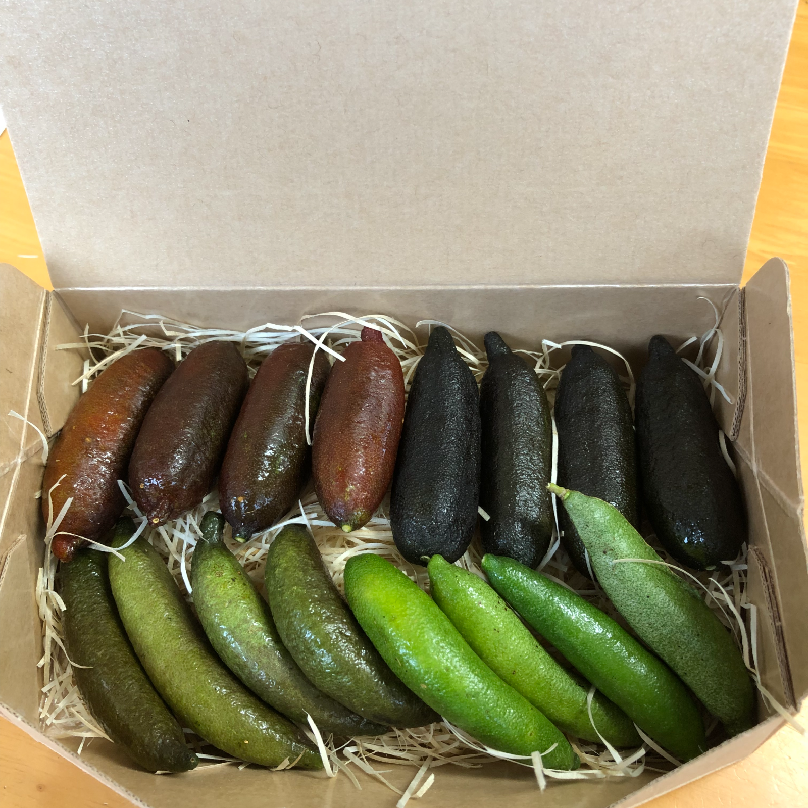 贈答用】フィンガーライム 16本箱入り 約200g（キャビアライム