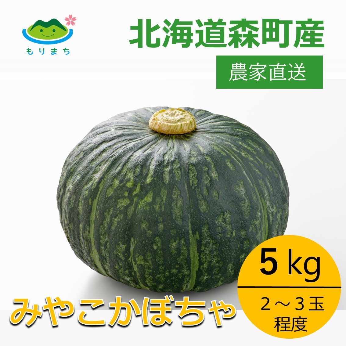 まちゃこさん専用 チエコサク】ハンドタオル – ミキハウスオフィシャルサイト