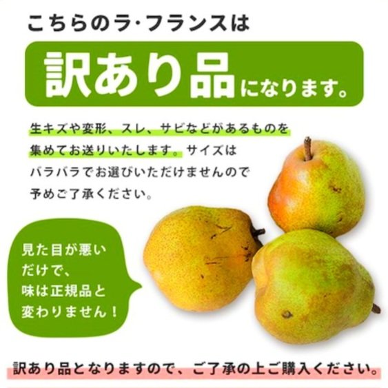 減農薬栽培 こだわりの長期熟成栽培☆とろぉ〜り濃厚ラフランス