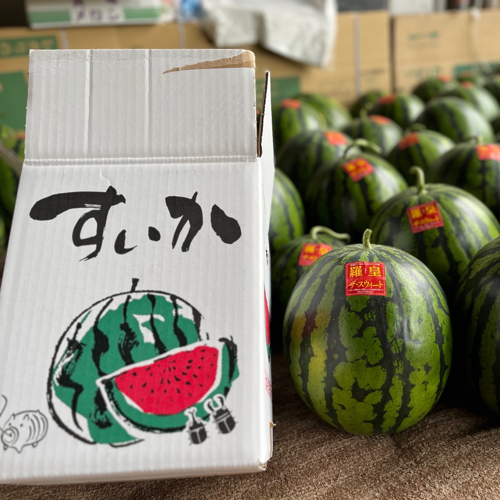 期間限定 羅皇ザ・スウィート 大玉スイカ 祭ばやし4L〜 1玉入 | 果物