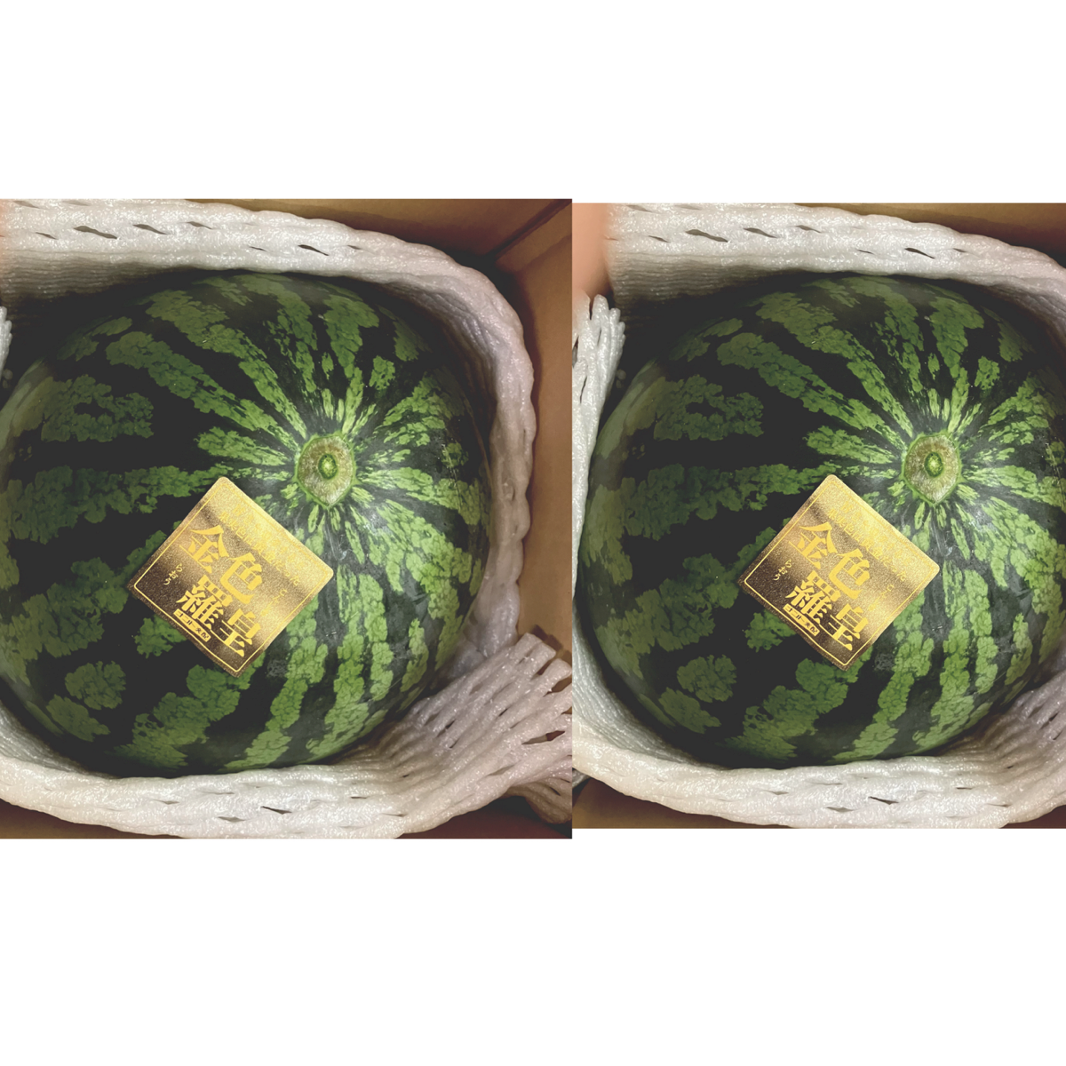 劇的に美味い！熊本産【金色羅皇】秀品3L2玉セット（17〜19k箱込）かめまる堂 劇的に美味い！熊本産【金色羅皇】秀品3L2玉セット（17〜19k箱込