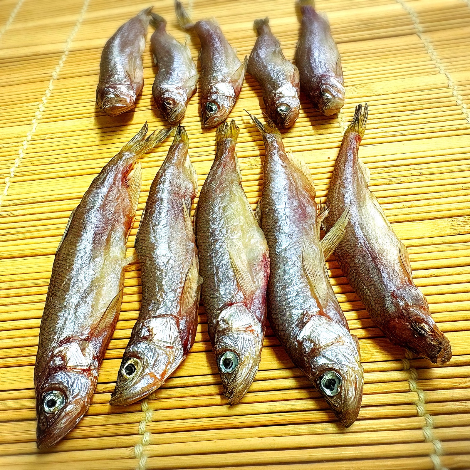 北海道産天然甘塩一夜干しししゃも10尾2セット | 魚介類/ししゃも 産直