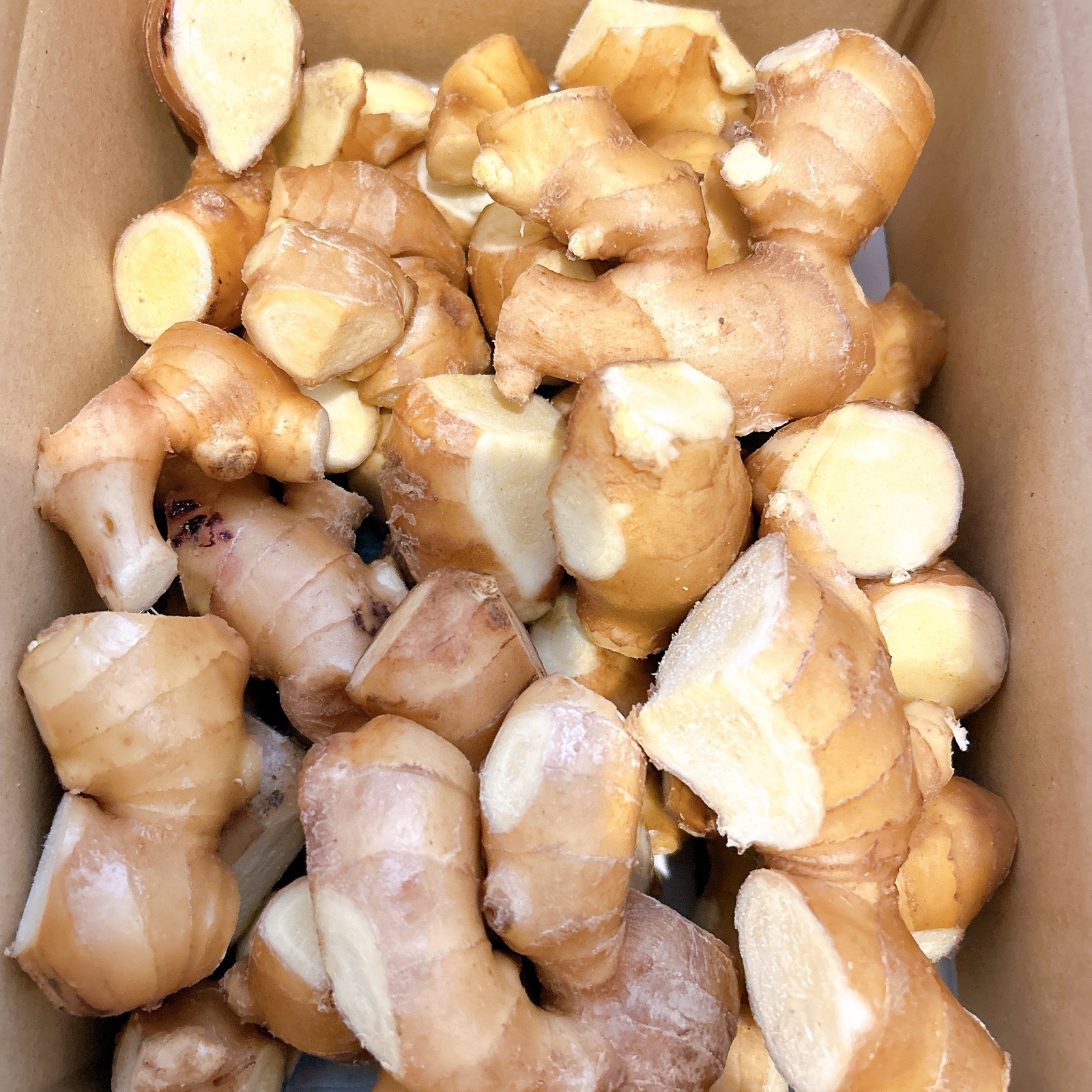 カット済み』高知県産囲生姜5Kg | 野菜/薬味 産直アウル 農家から直接