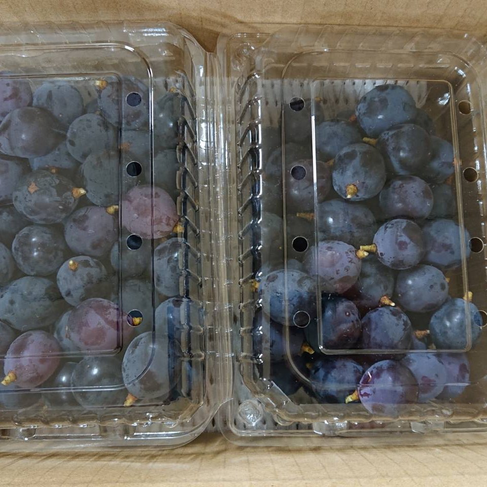 数量限定』『初出品記念』山梨県産 種なし巨峰 家庭用粒パック（600g×2
