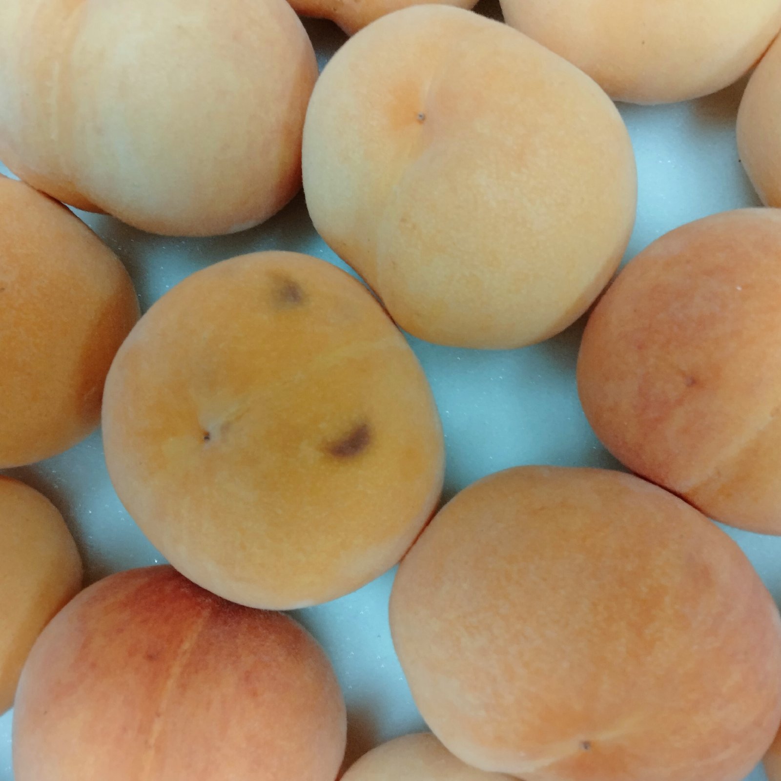 訳ありはね桃！黄金桃2kg ｜ 果物/もも 産直アウル 農家・漁師など生産