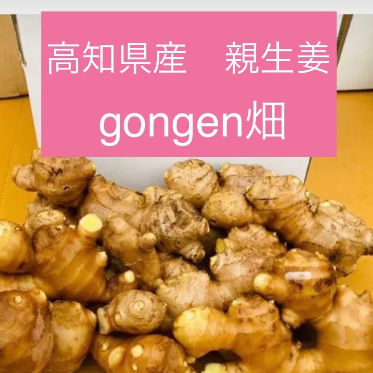新生姜を育ててくれたガツンと辛い親生姜！ ｜ 野菜/薬味 産直アウル