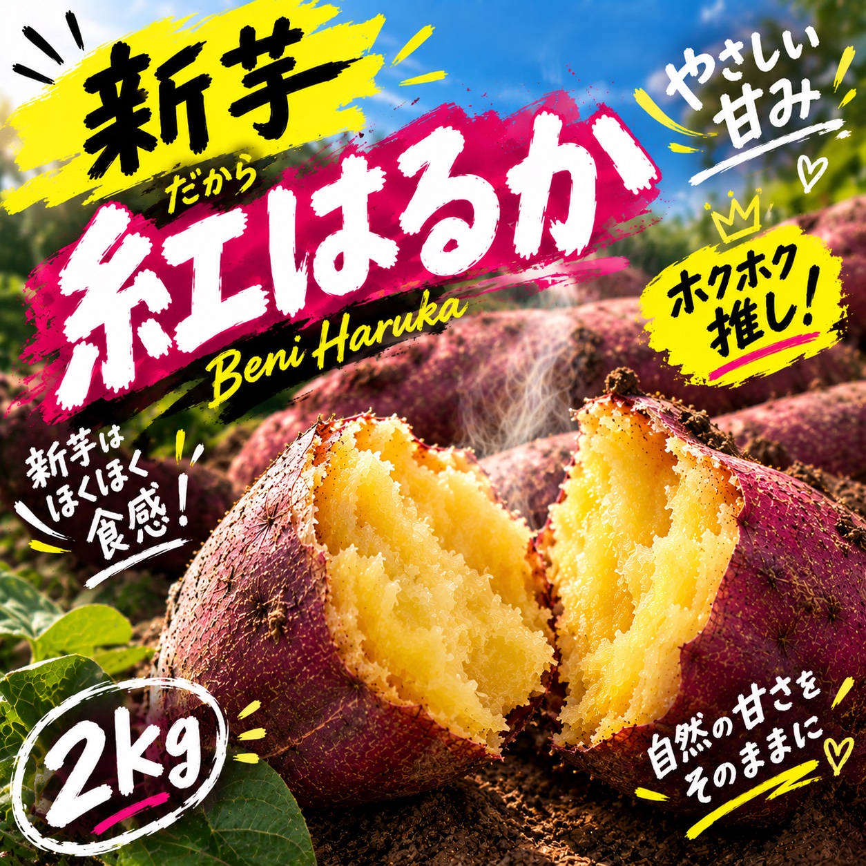 新芋 紅はるか 2kg 土付き 栽培時農薬不使用 ｜ 野菜/さつまいも 産直