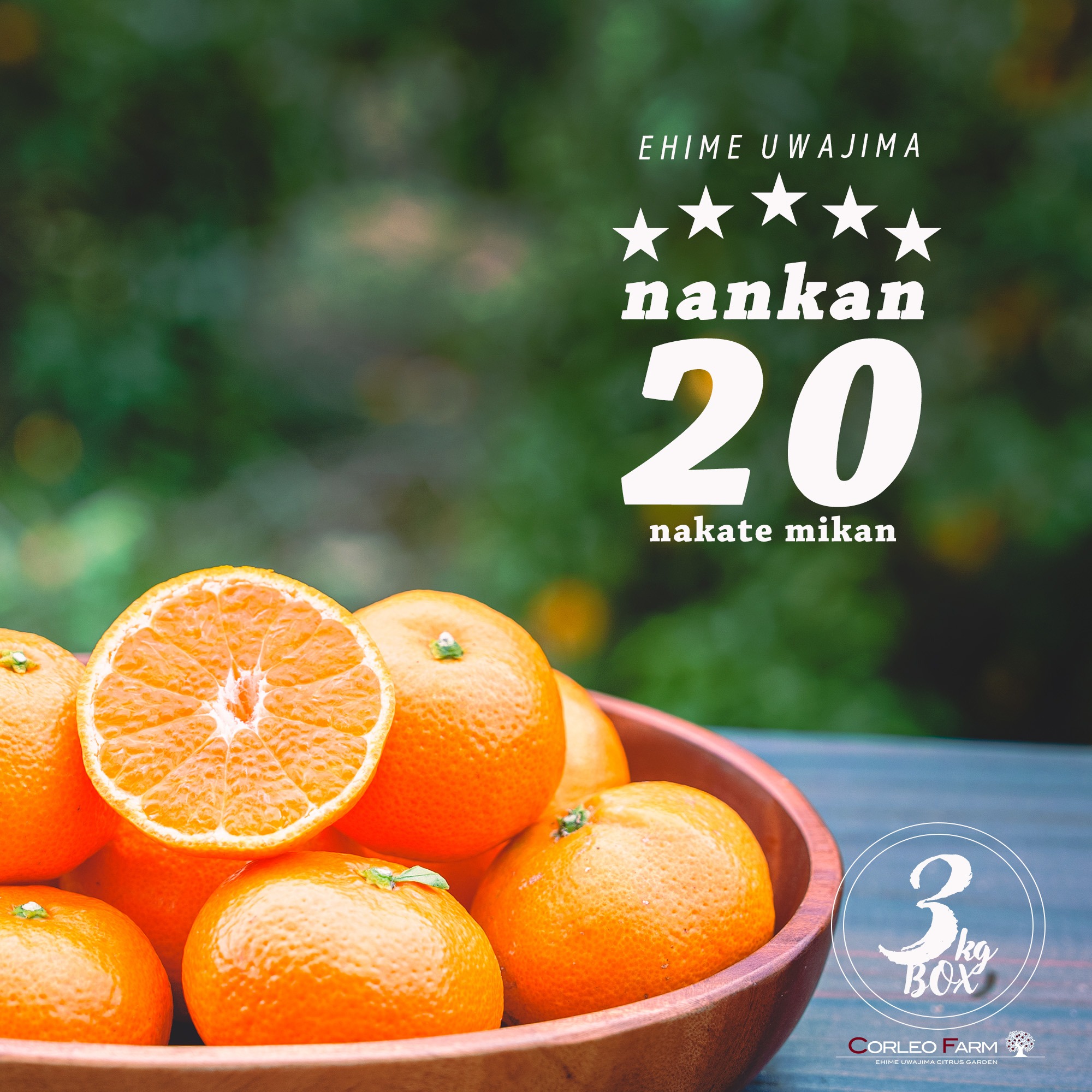 ゆめはな　南柑20号8kg+訳ありまどんな8kgぐるりん 濃厚な甘みとコク 【EHIME UWAJIMA】南柑20号 Aセレクション（家庭用