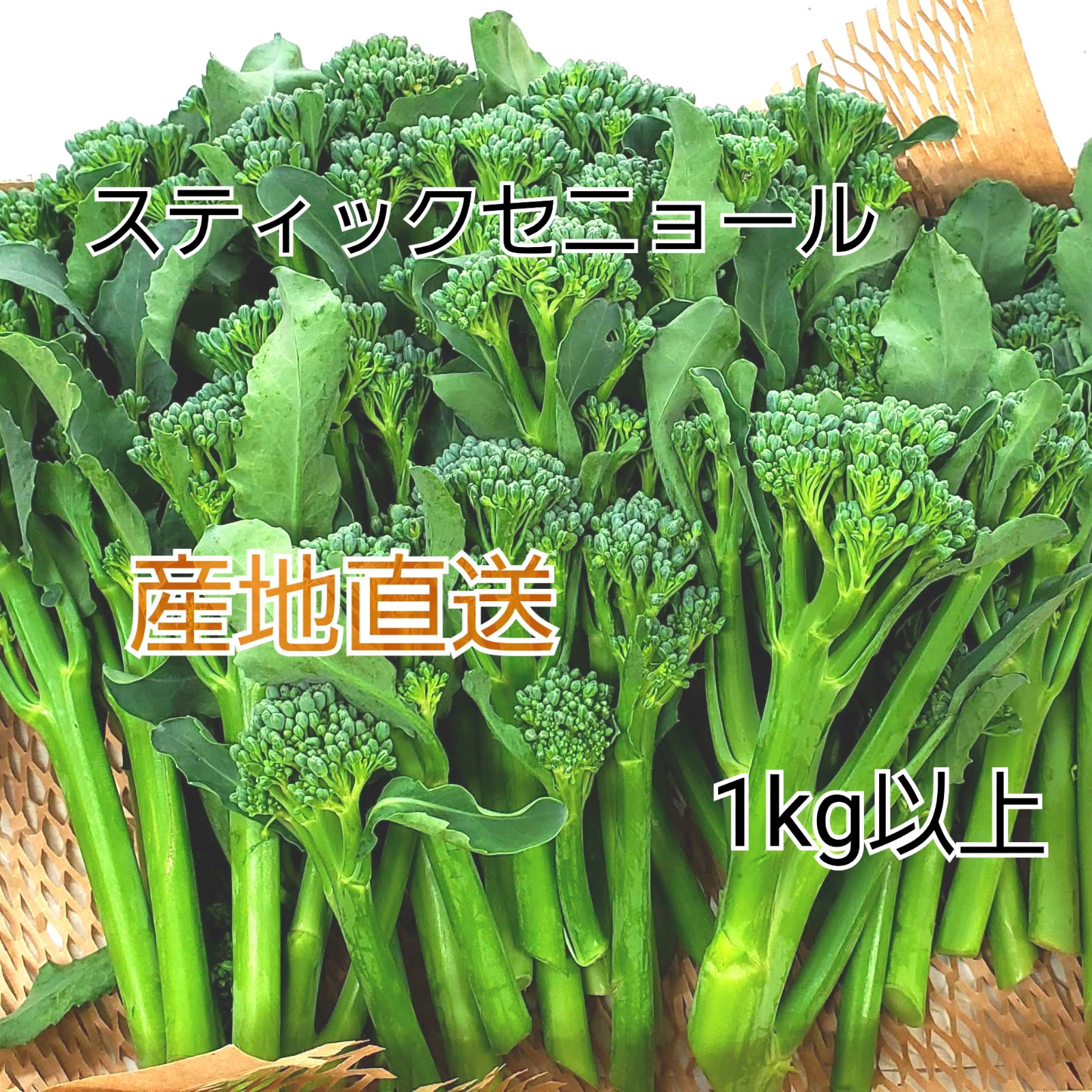 スティックセニョール 1kg以上 野菜 その他野菜 産直アウル 農家から直接野菜などの食材を購入できる産地直送の宅配通販サイト