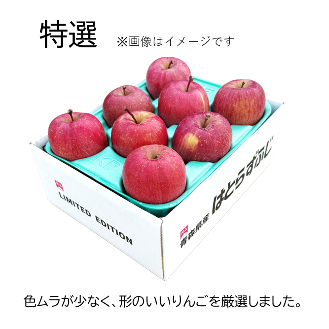 完売】特選 葉とらずふじ 2kg（8個） ｜ 果物/りんご 産直アウル 農家