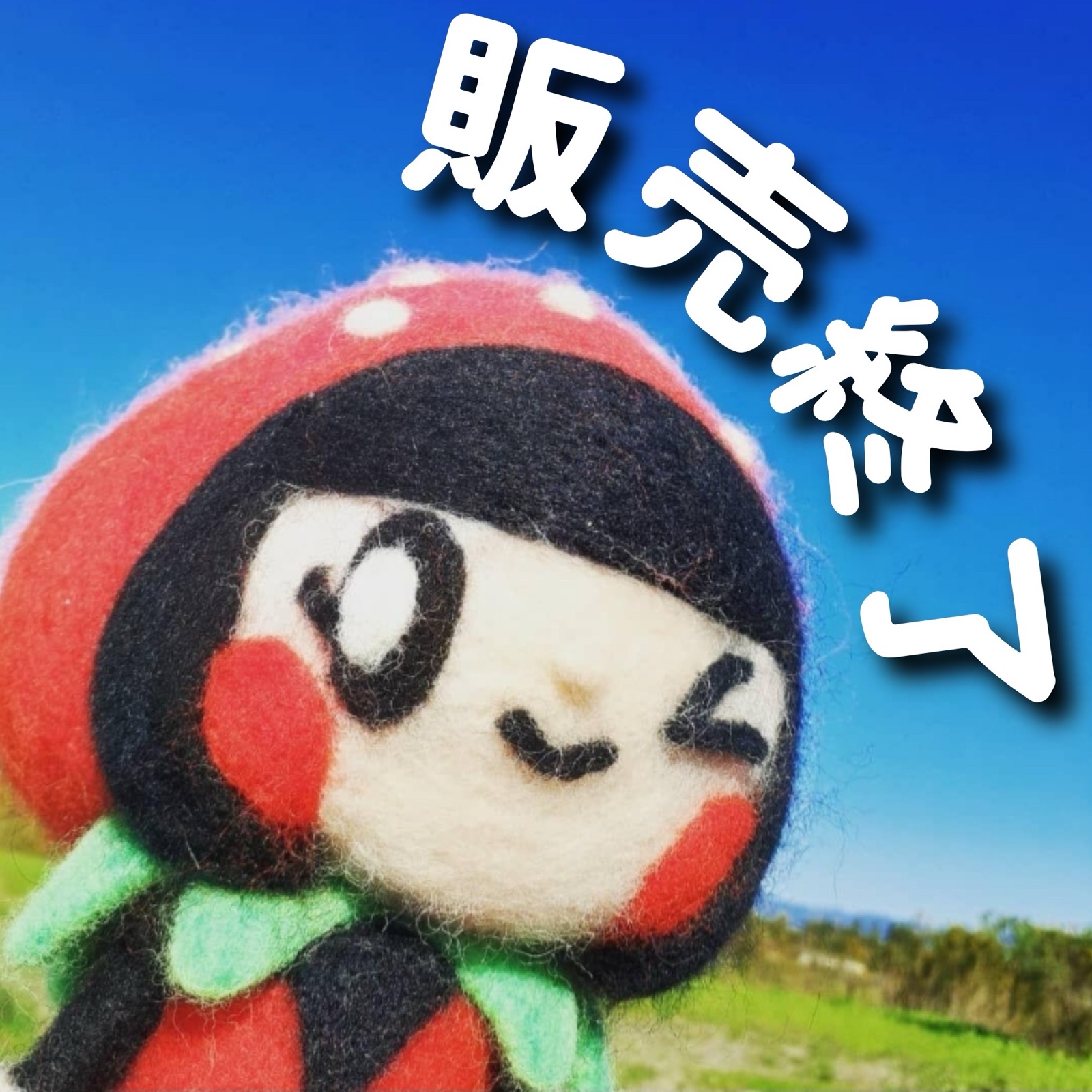 ゆずゆずC 様 ｜ 果物/いちご 産直アウル 農家・漁師など生産者から 