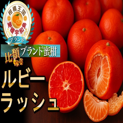 🍊日本一赤いみかんルビーラッシュ🍊この時期でしか味わえない期間限定