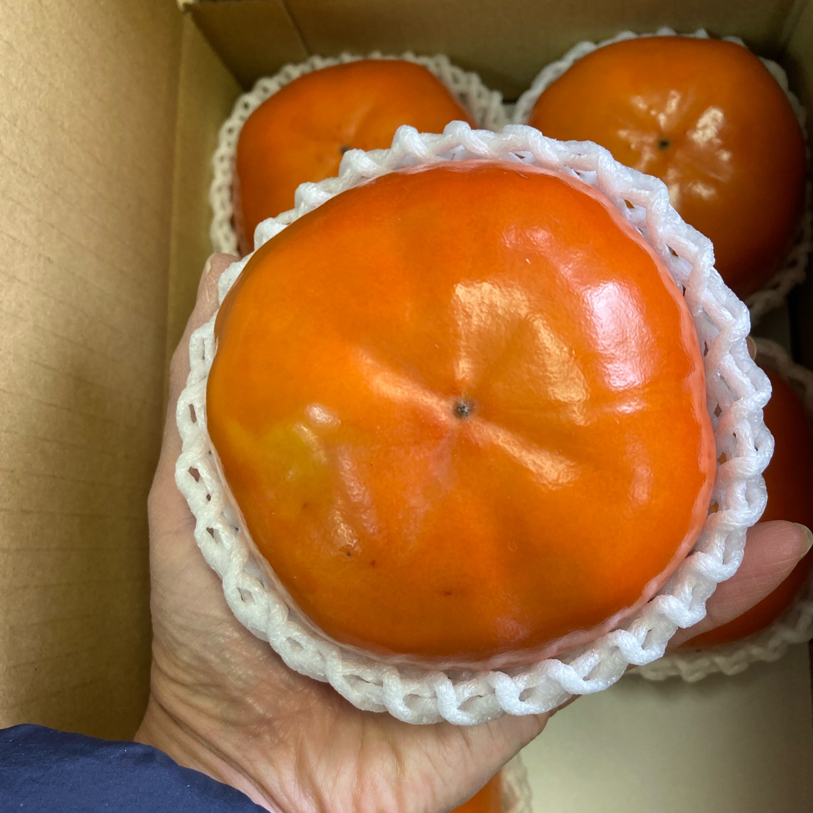 さくぼうさんが あさみ農園 の 家庭用♪陽豊柿（甘柿）3Lサイズ5個