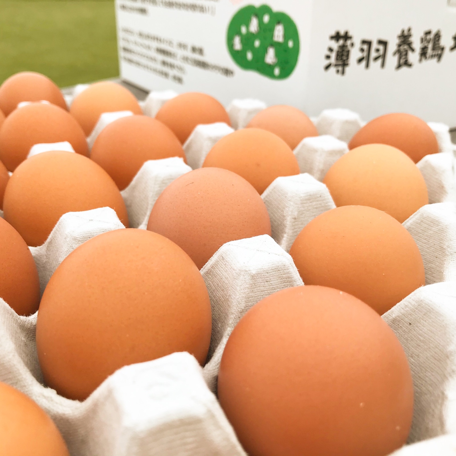 冷蔵便】MSサイズ平飼いたまご(卵かけ御飯に最適MSサイズ50個) ｜ 卵