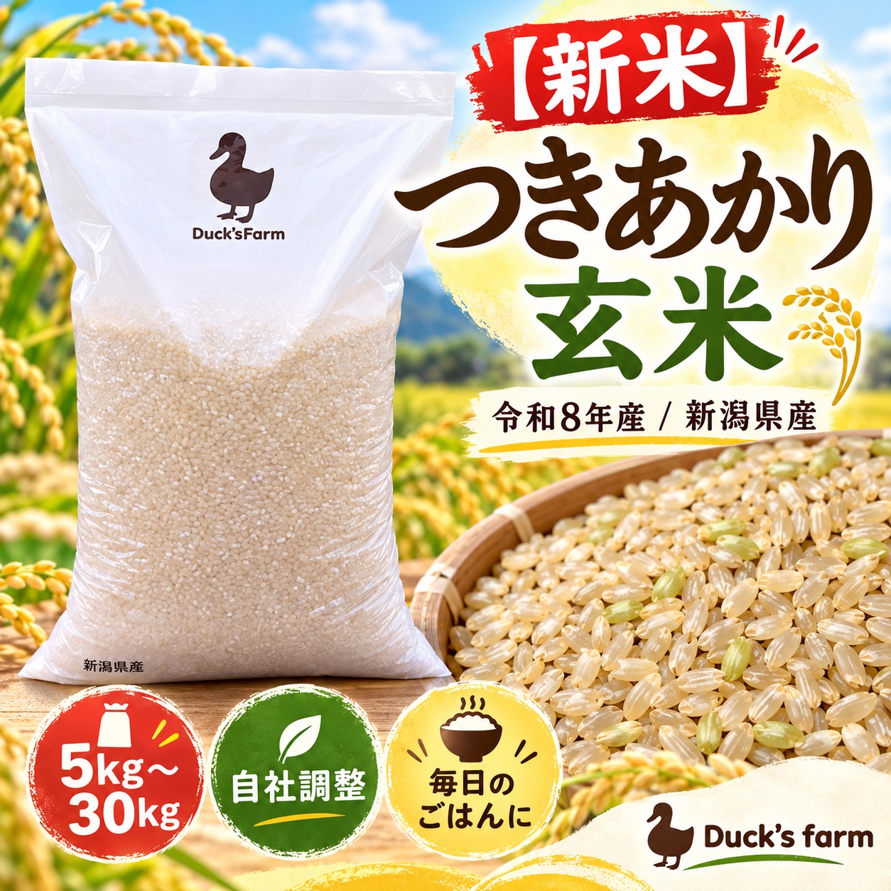 kaku。新潟県産つきあかり。10キロ。玄米。無料精米。 新米【令和8年産】新潟県産つきあかり 玄米10kg｜ふっくら大粒のお米