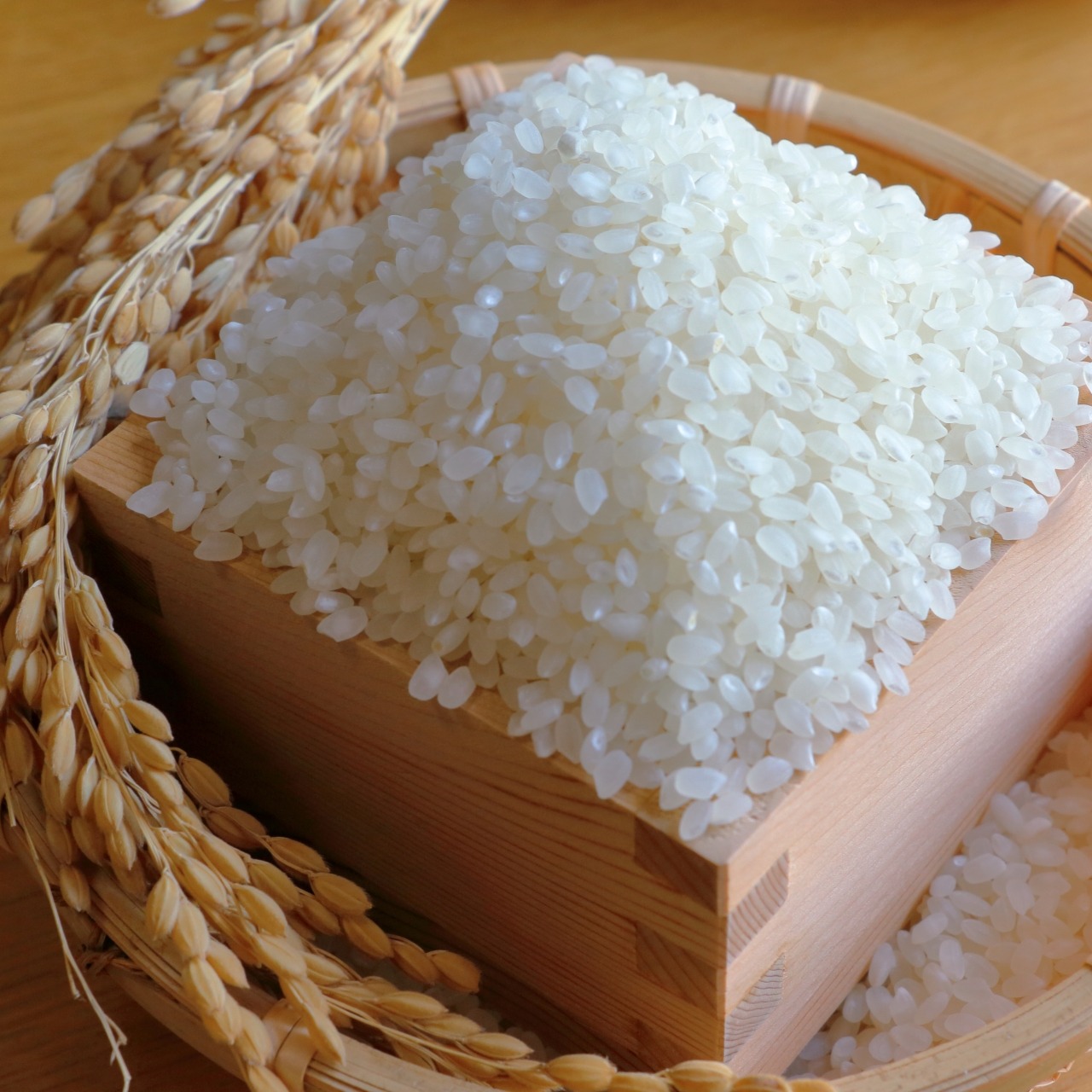 食品 送料込み 精米済み 白米 20kg 6年度産 佐賀県産
