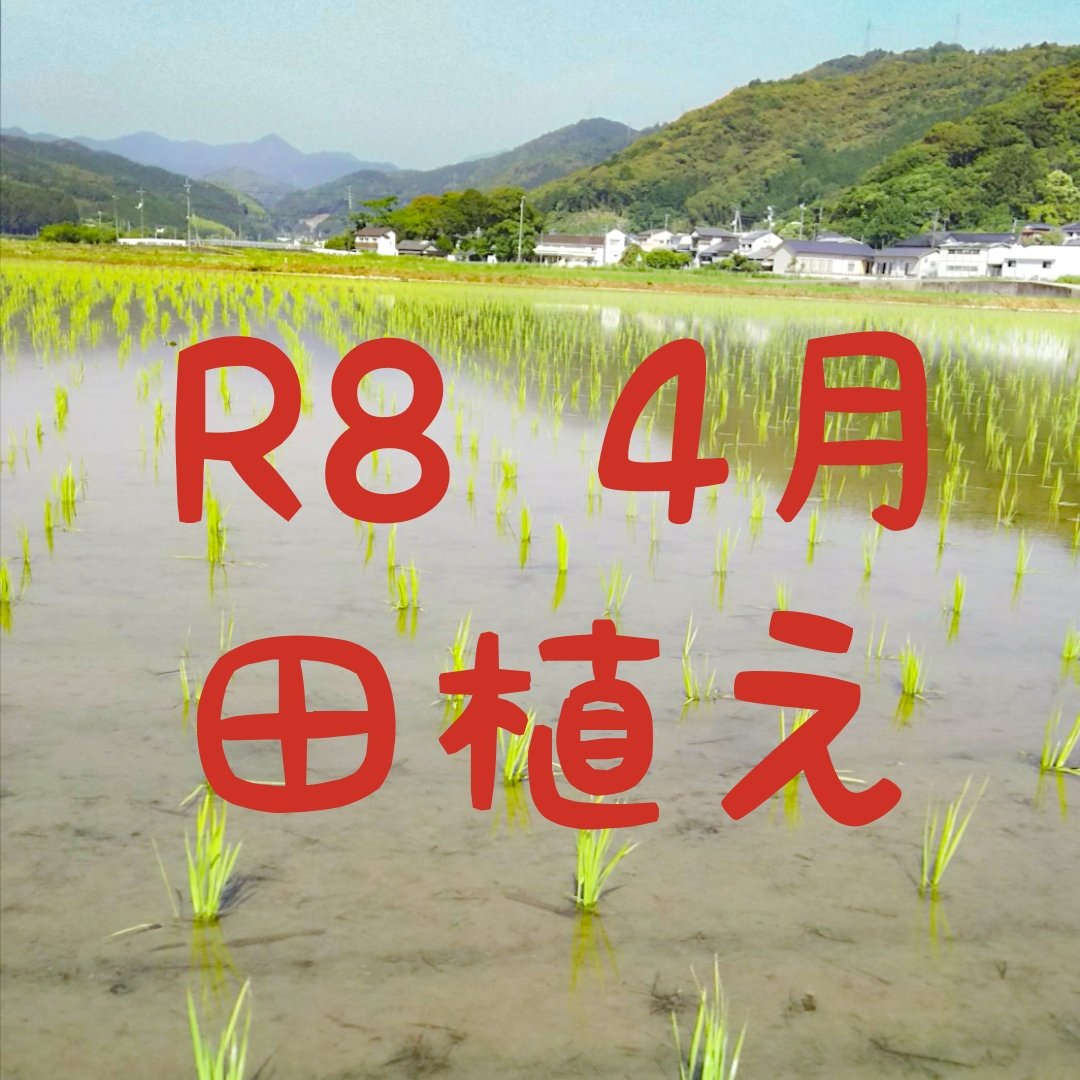 令和8年産 新米 高知産 コシヒカリ 飼料用米(くず米)25kg(袋込み